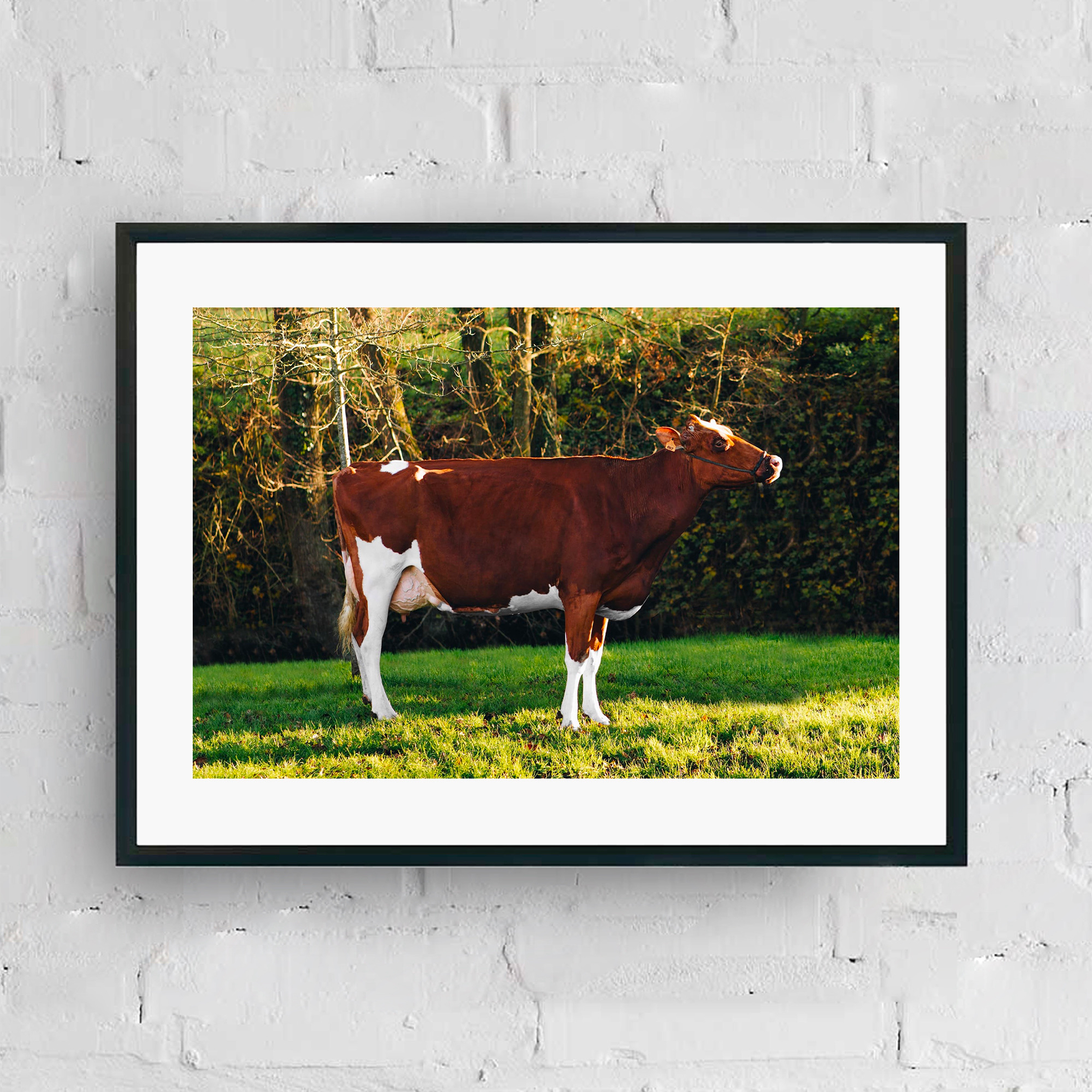 CATALOGUE CA JPGS 55.png