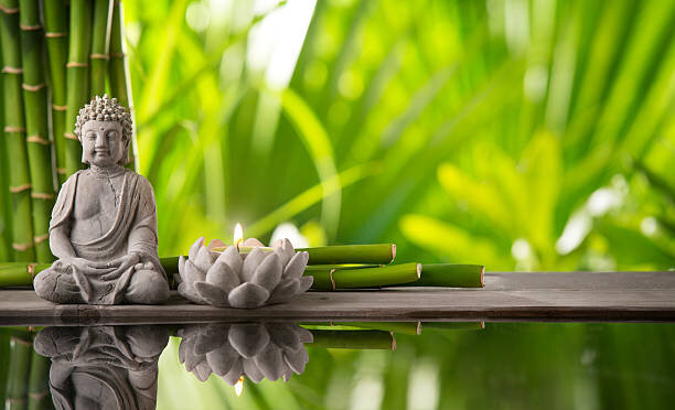 istockphoto-485457018-612x612.jpg