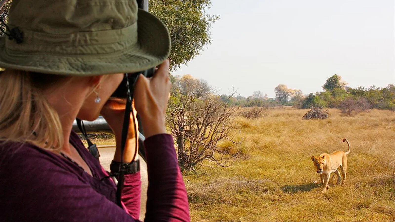 Spectacular dry season game viewing