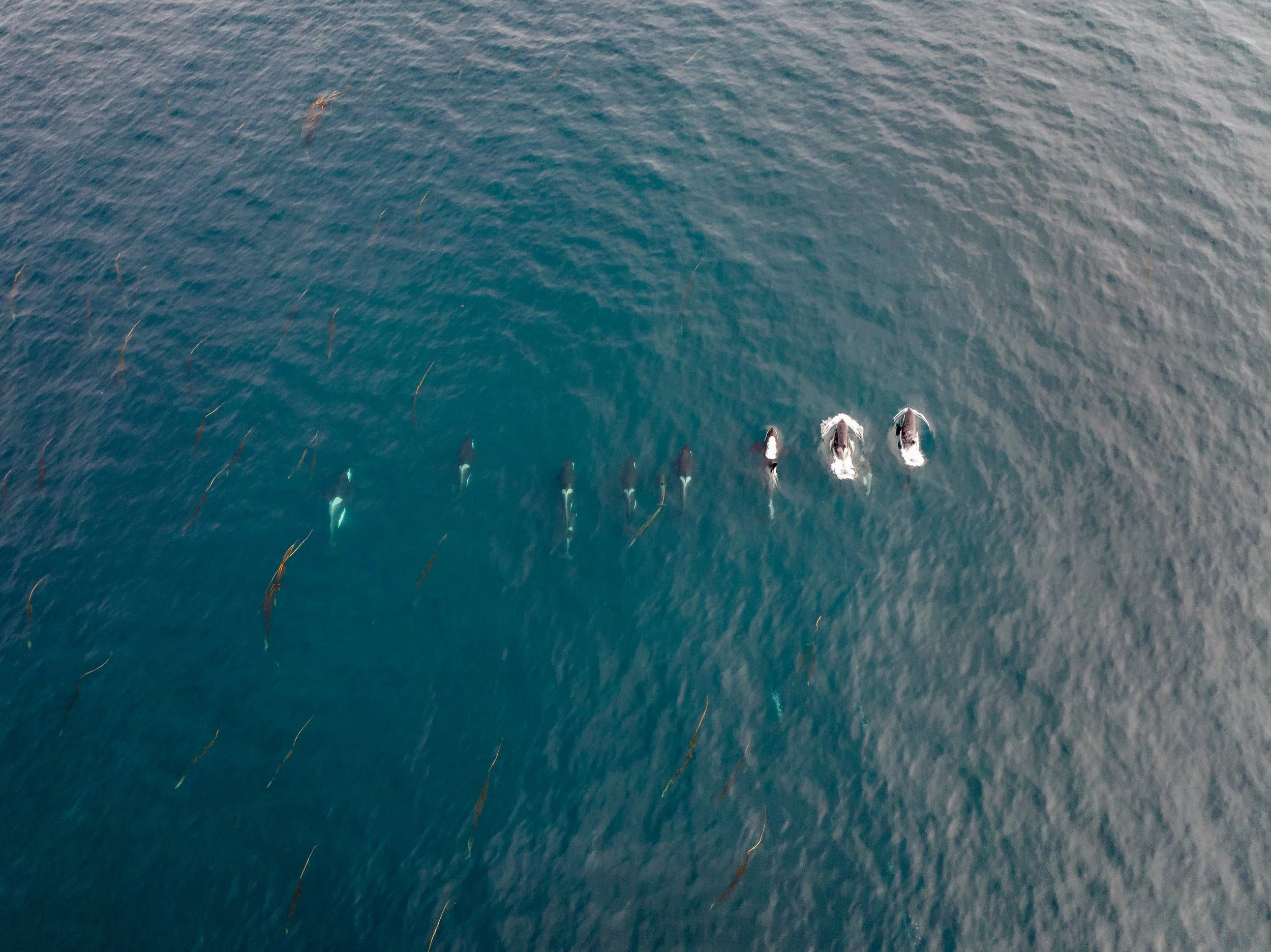 DJI_20250726165022_0047_D.jpg
