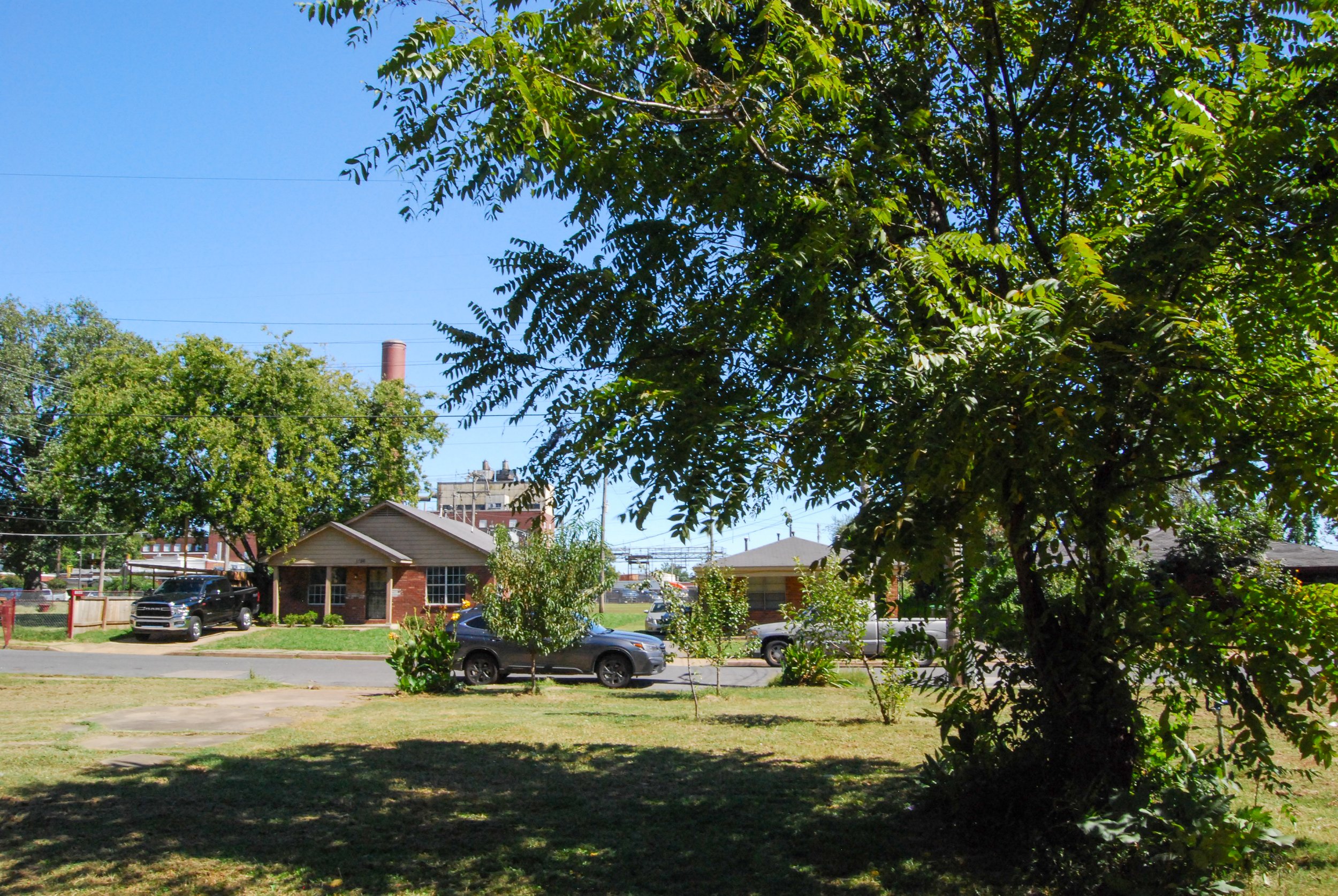 Pecan tree with smokestack not Velsicol_Credit Ashli Blow.jpg