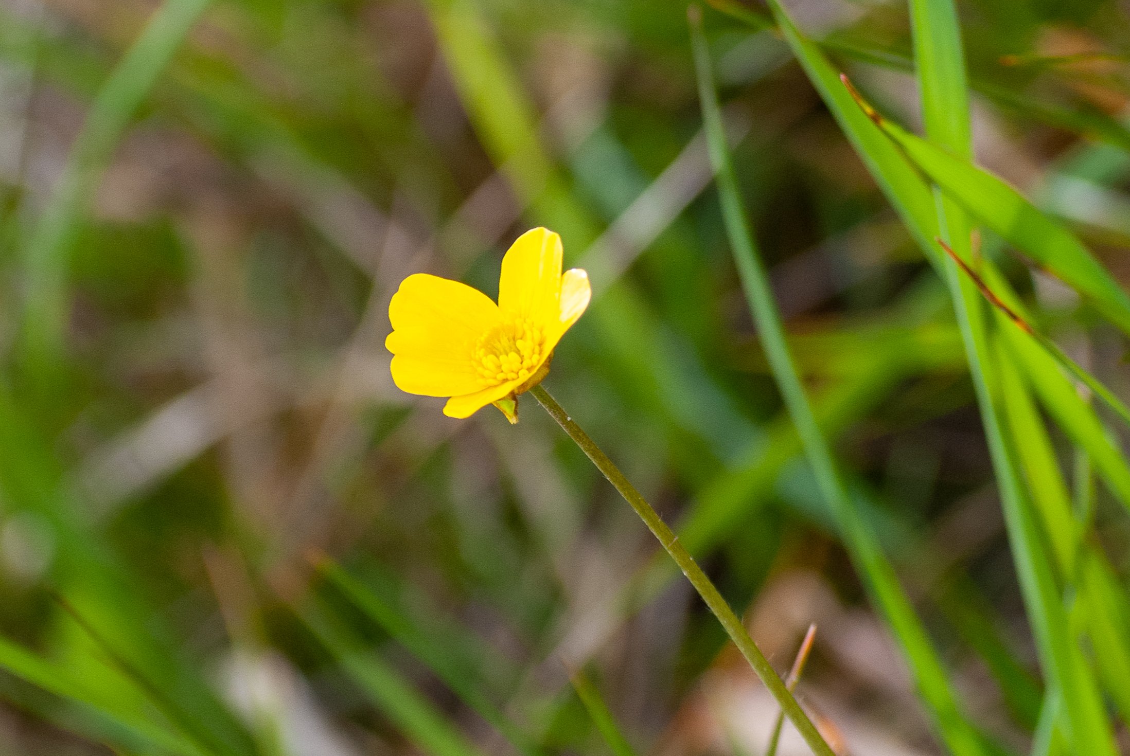 DSC_0020.jpg