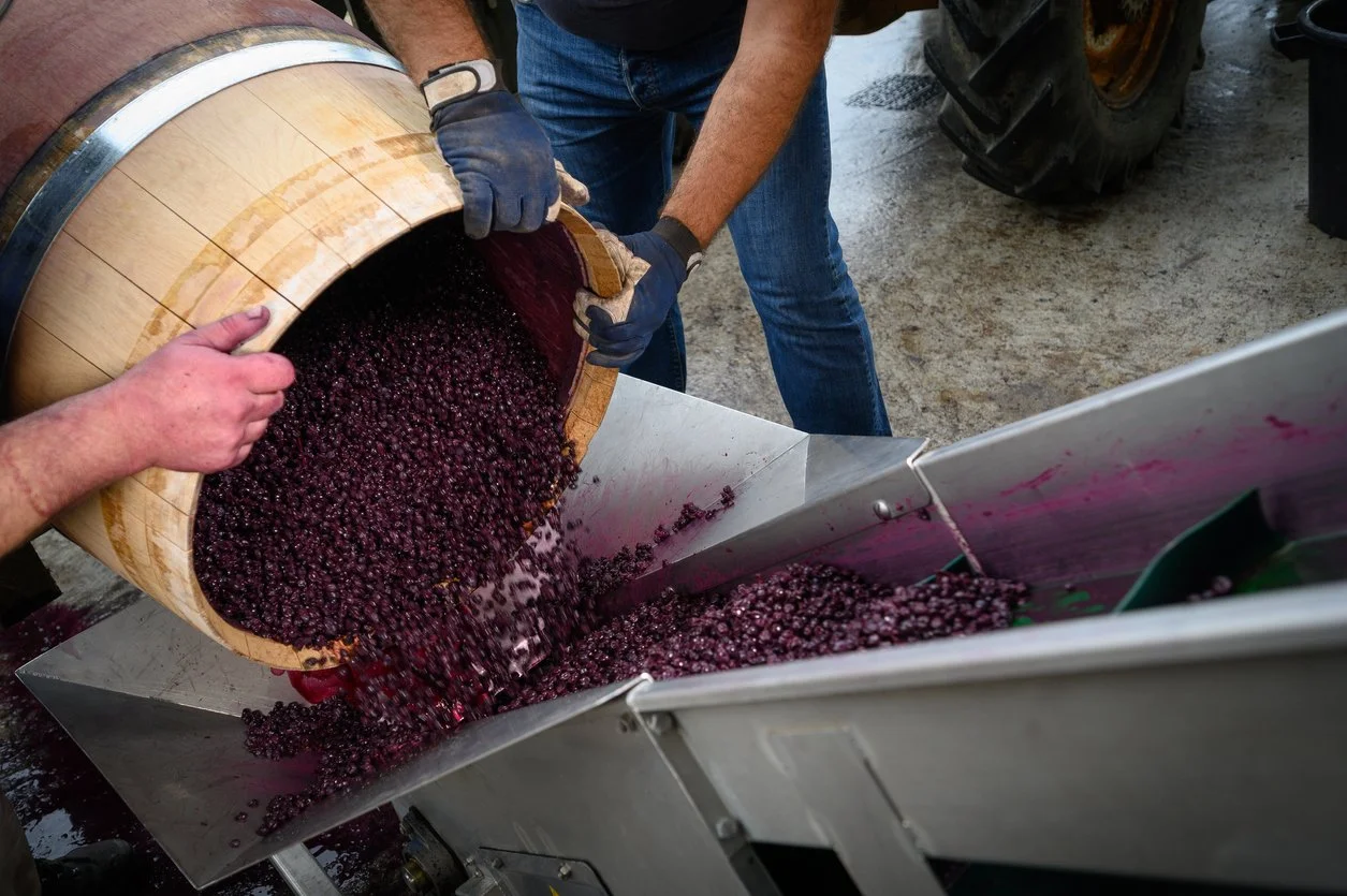 How Much Sugar is in Wine? The Truth about Wine and Sugars — The Boston