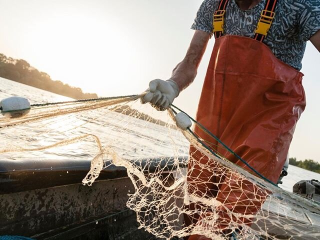 Because Boston Winery lives in New England, we are lucky to have fresh, local seafood to pair with our wines. Unfortunately, the fishing industry has taken some hits during this pandemic due to restaurant closures.
.
Support your local fish markets! 