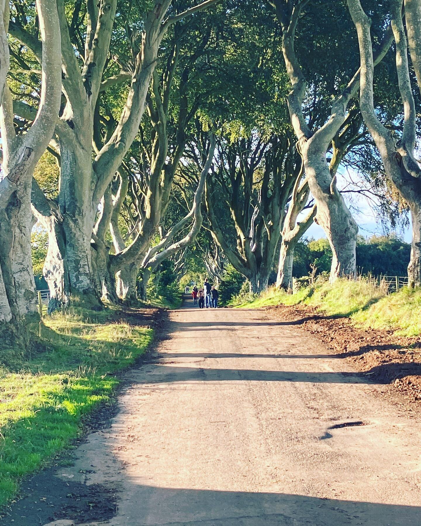 The Dark Hedges in Game of Thrones