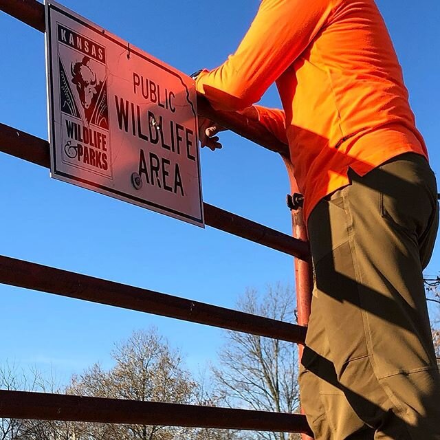 Do you hunt public accessible land exclusively?
&bull;
#pheasantsforeverjocoks #projectupland #pheasanthunting #pheasantsforever #quailforever #quailhunting #publicland #publiclands #publicaccess #huntks @project_upland @backcountryhunters @keep_it_p