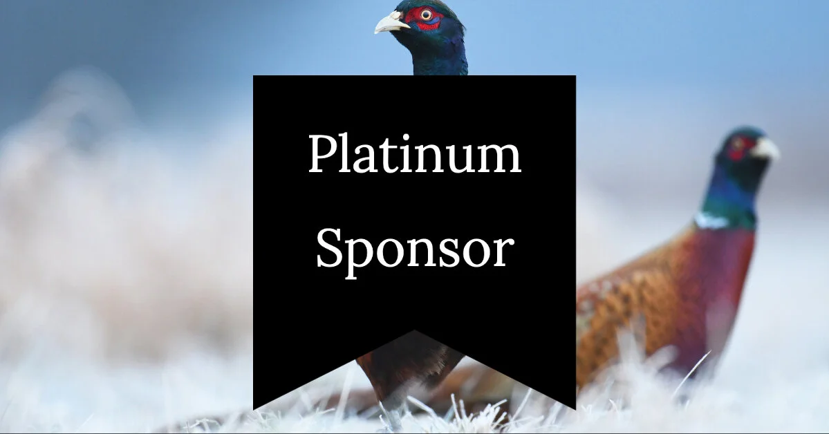 Platinum Sponsor.jpg