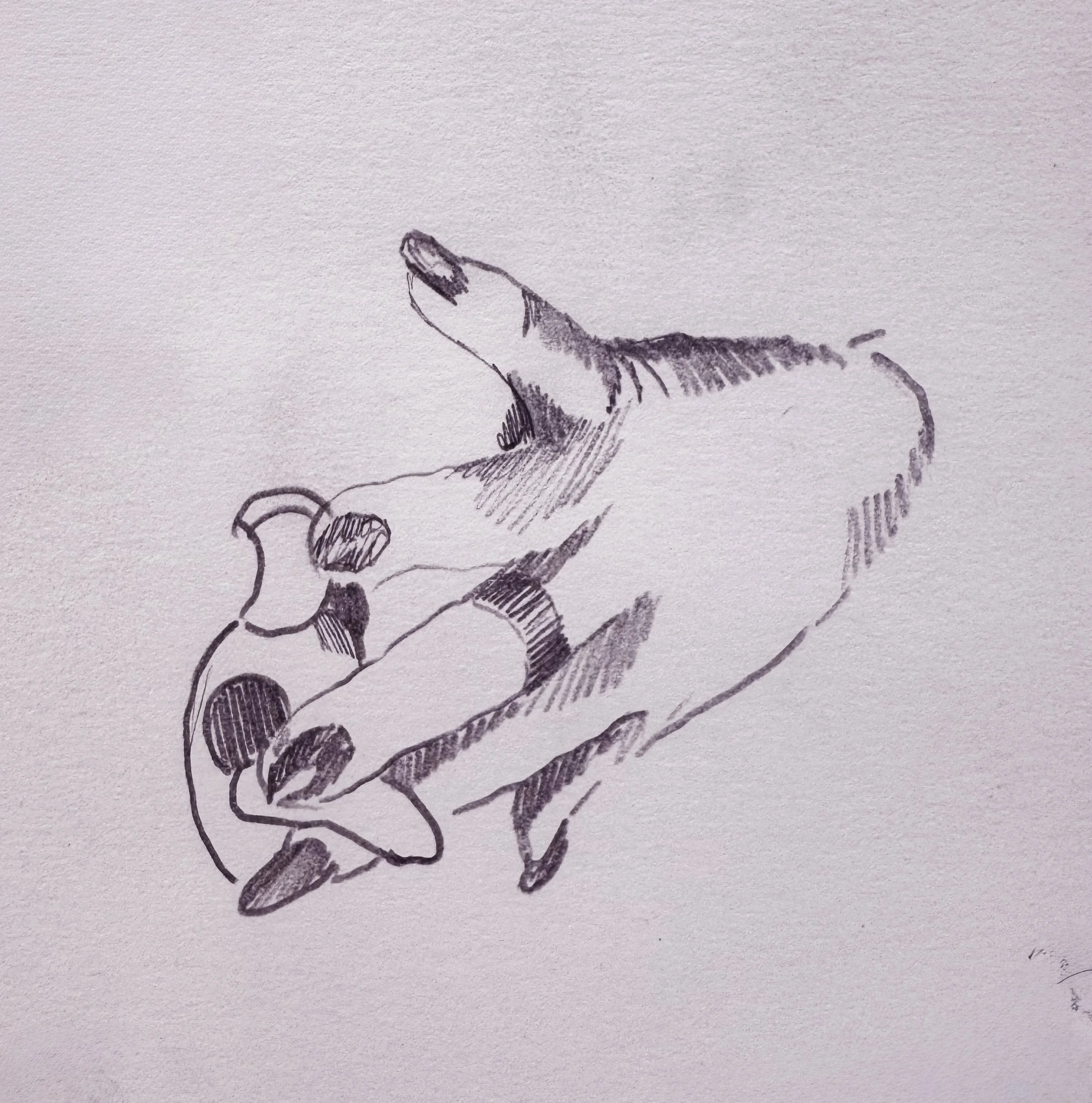 image00009.jpeg