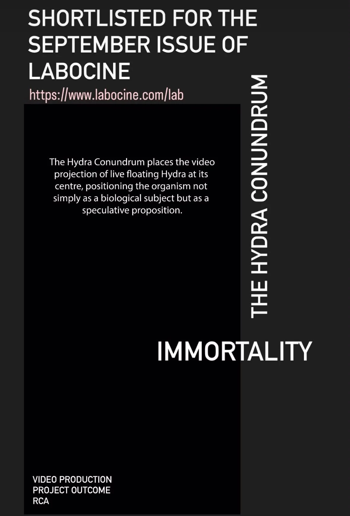 THE HYDRA CONUNDRUM