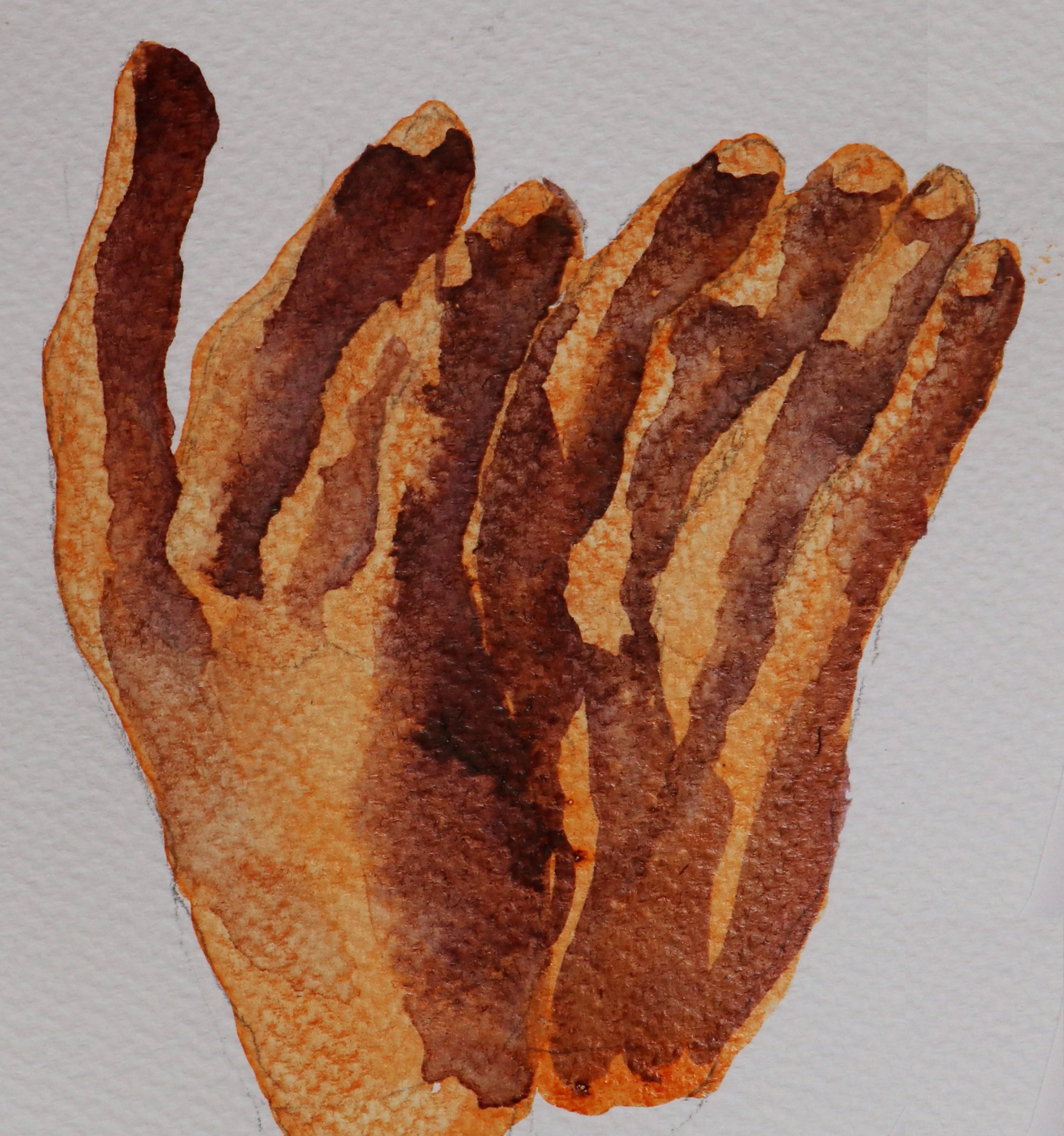 Hand 8.jpg