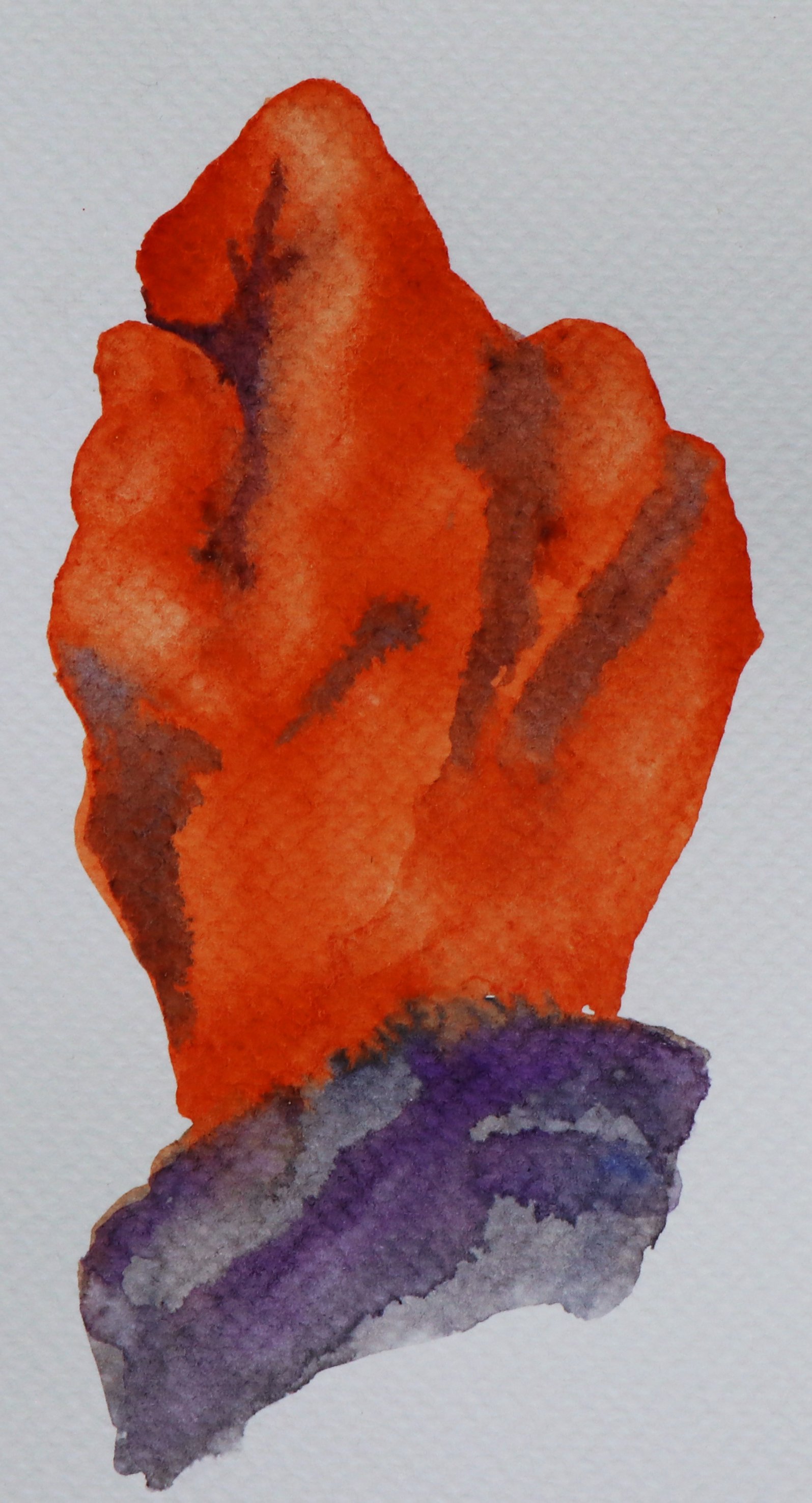 Hand 20.jpg