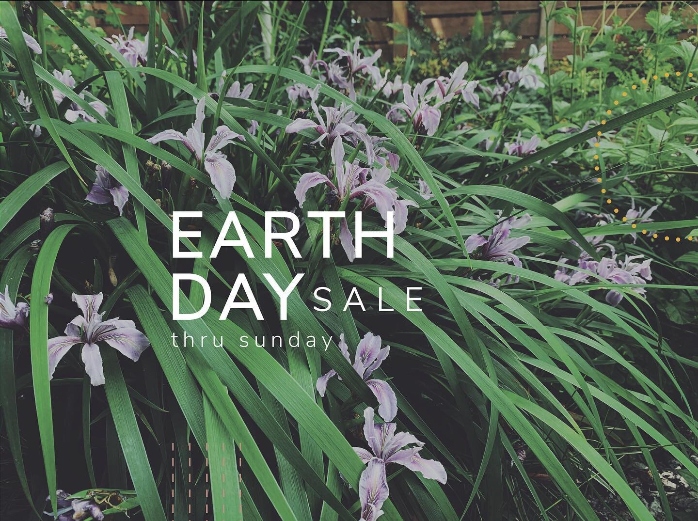 Earth Day is this Saturday and to help everyone celebrate, all our plants are 20% off thru Sunday.
code: earthday2023

We won&rsquo;t be doing any pop-ups this weekend, as we&rsquo;ll be out playing in the dirt, planting all sorts of plant babes into