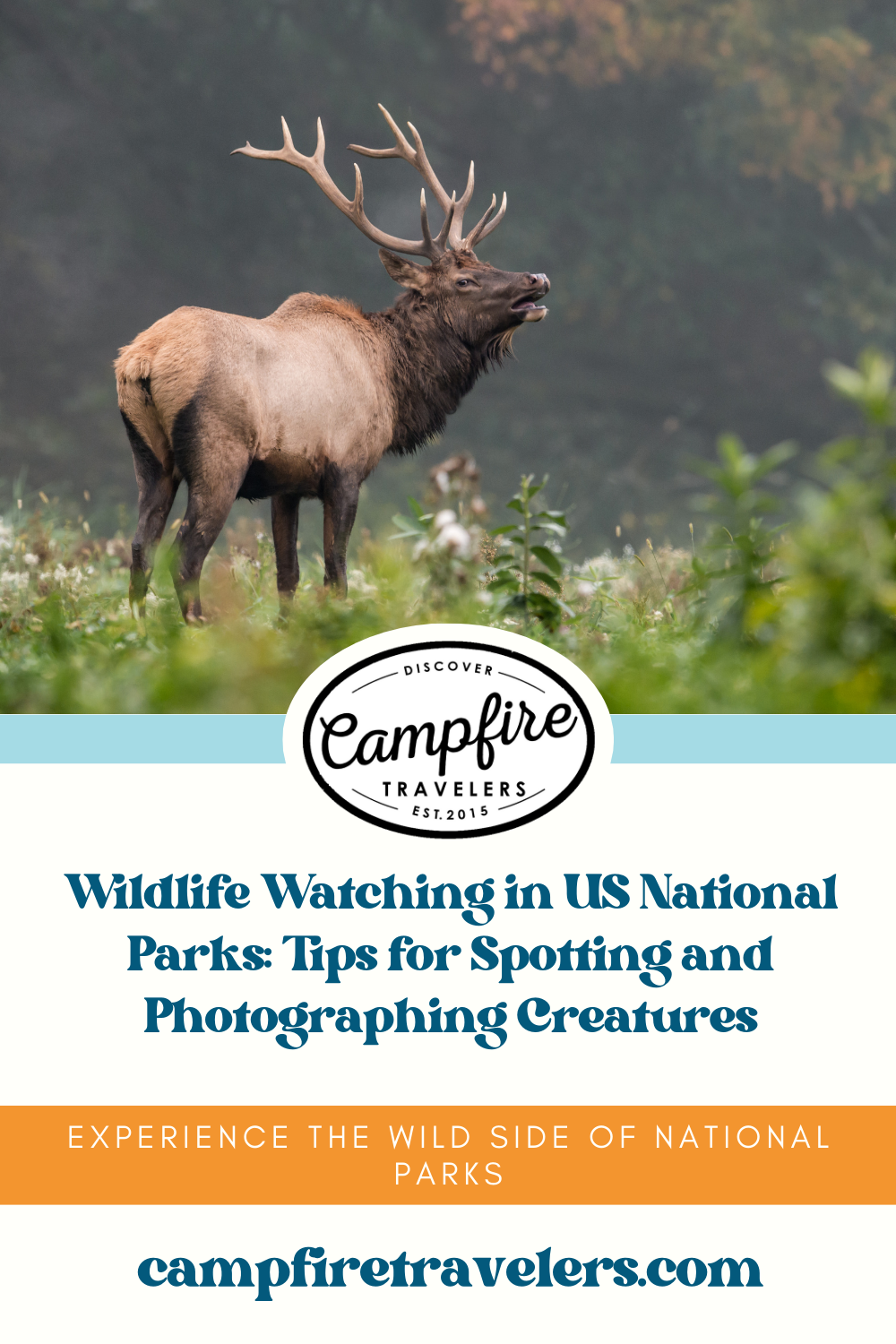 Wildlife Watching in US National Parks: Tips for Spotting and Photographing Creatures