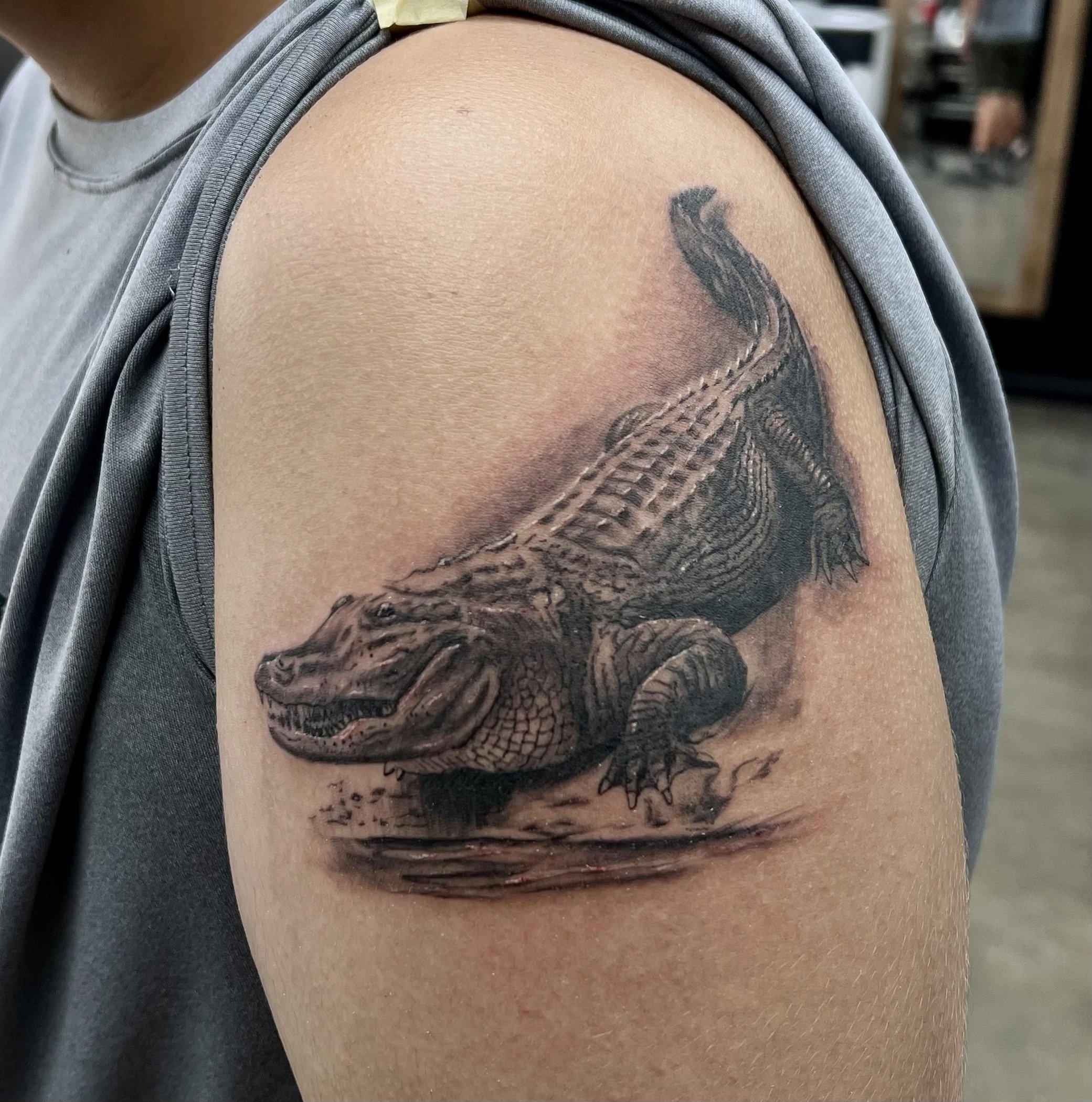 David Hale Tattoo | Crocodile | Alligator tattoo, David hale tattoo, Crocodile  tattoo