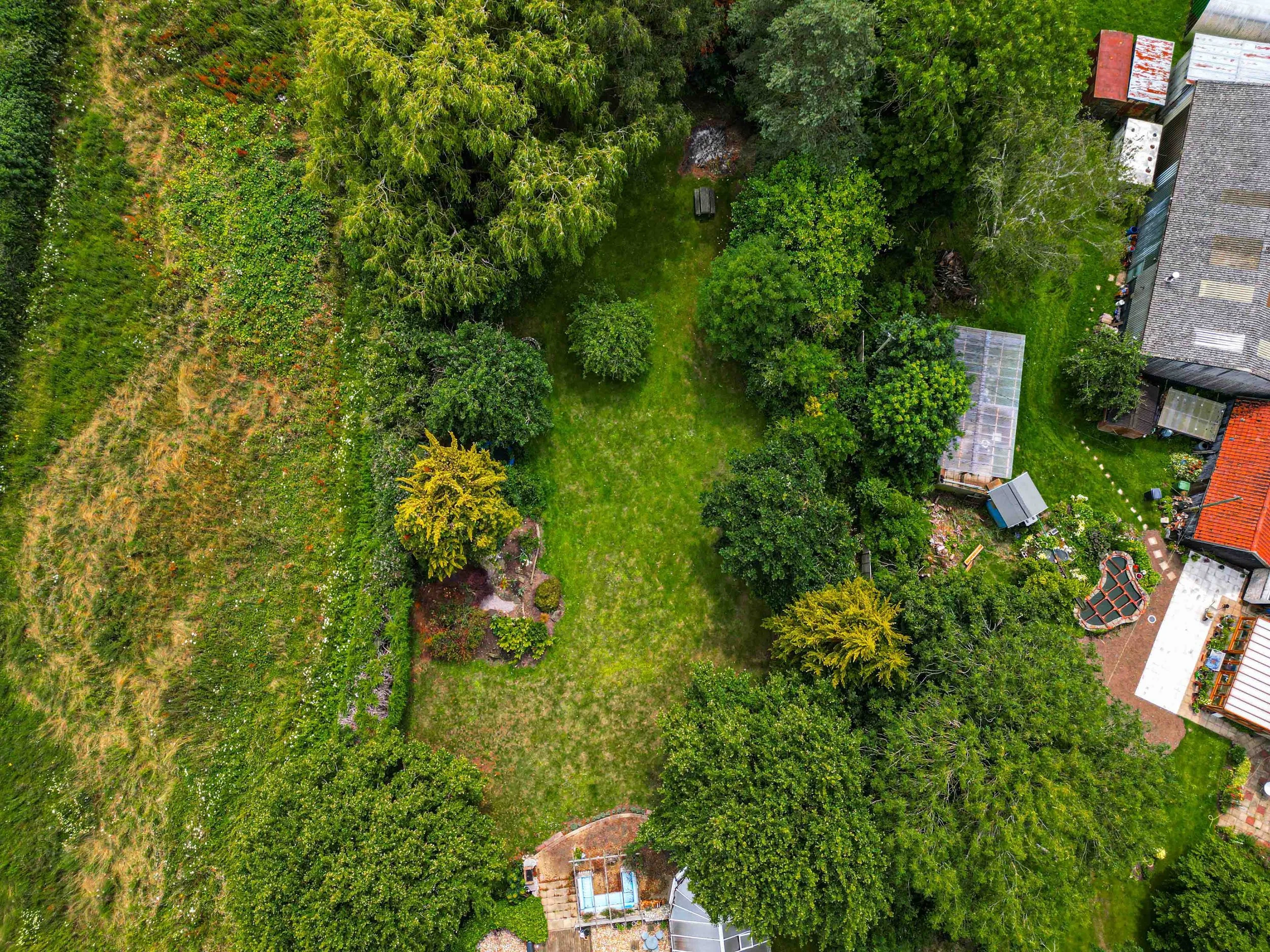 DJI_0933.jpg