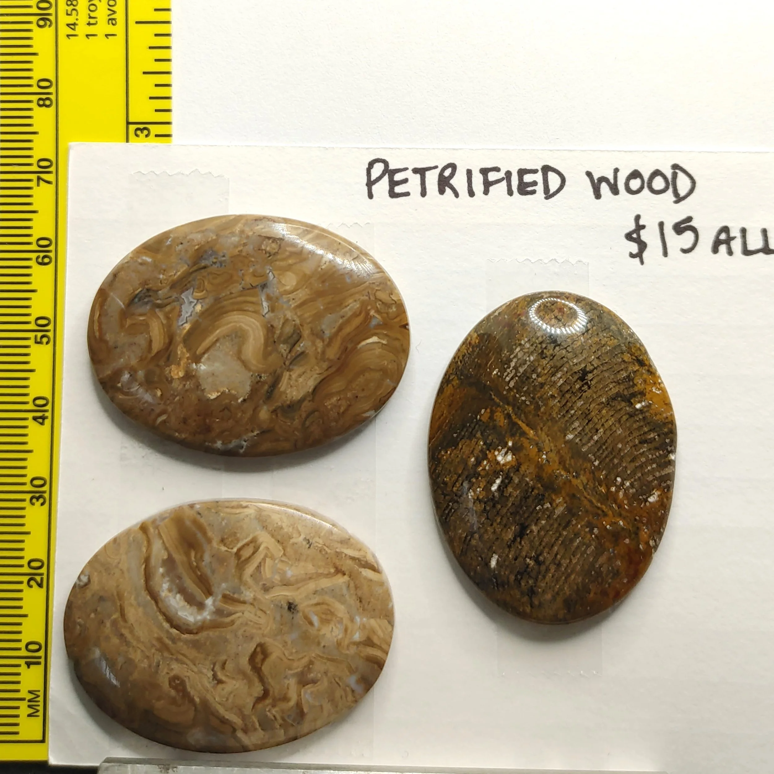 Petrified Wood
