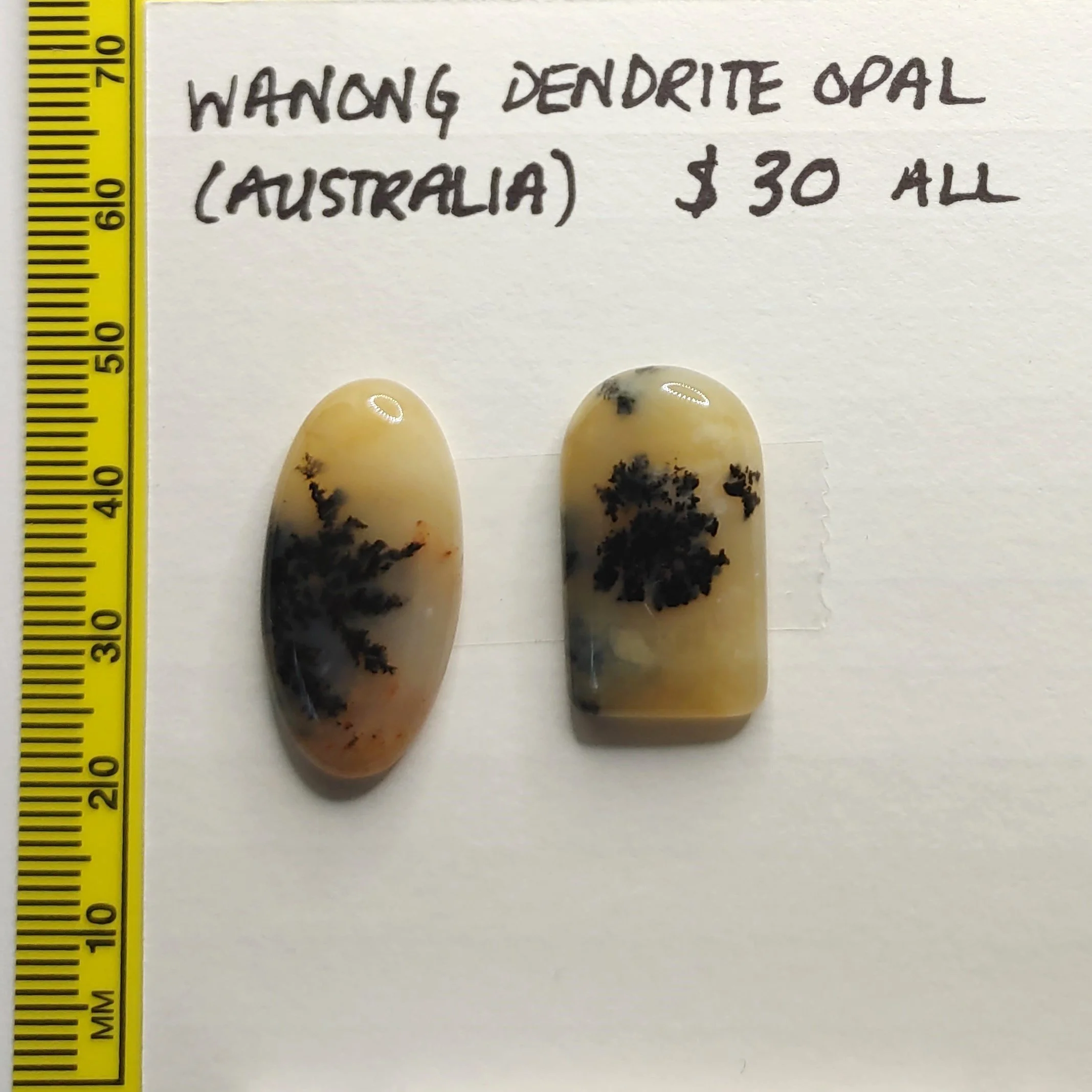Wanong Dendrite Opal