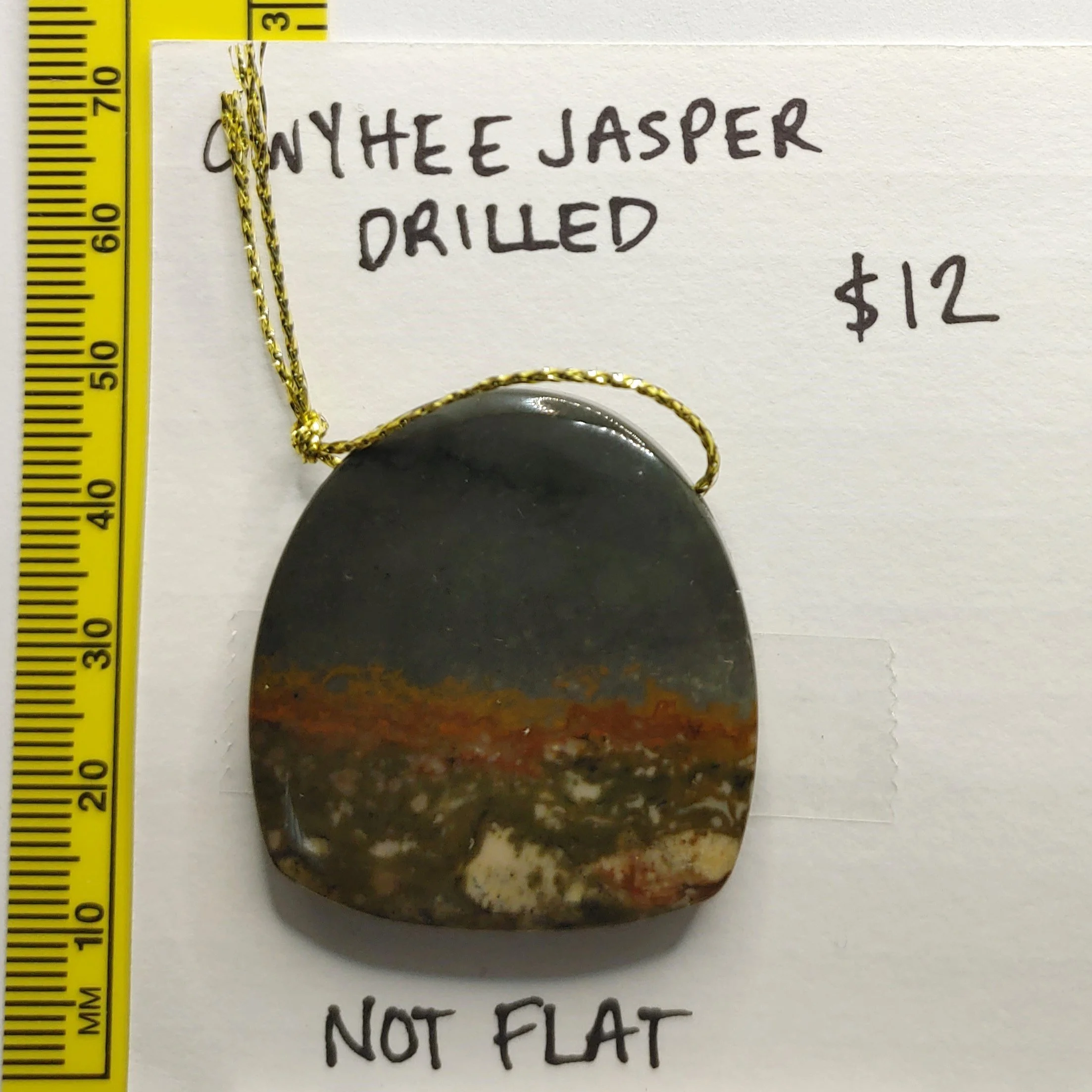 Owyhee Jasper Pendant