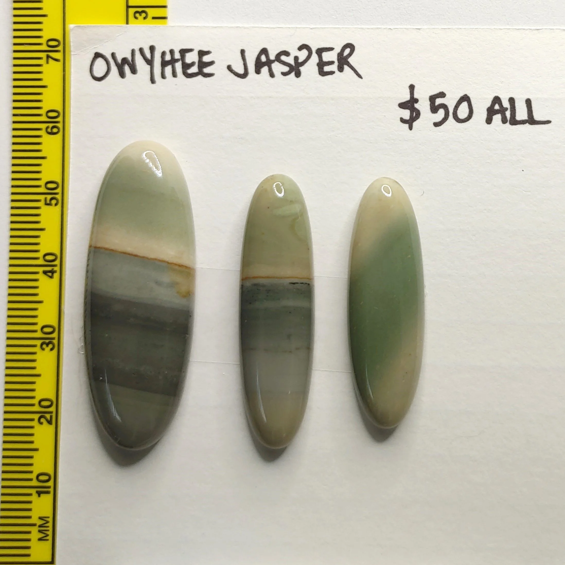 Owyhee Jasper Lot