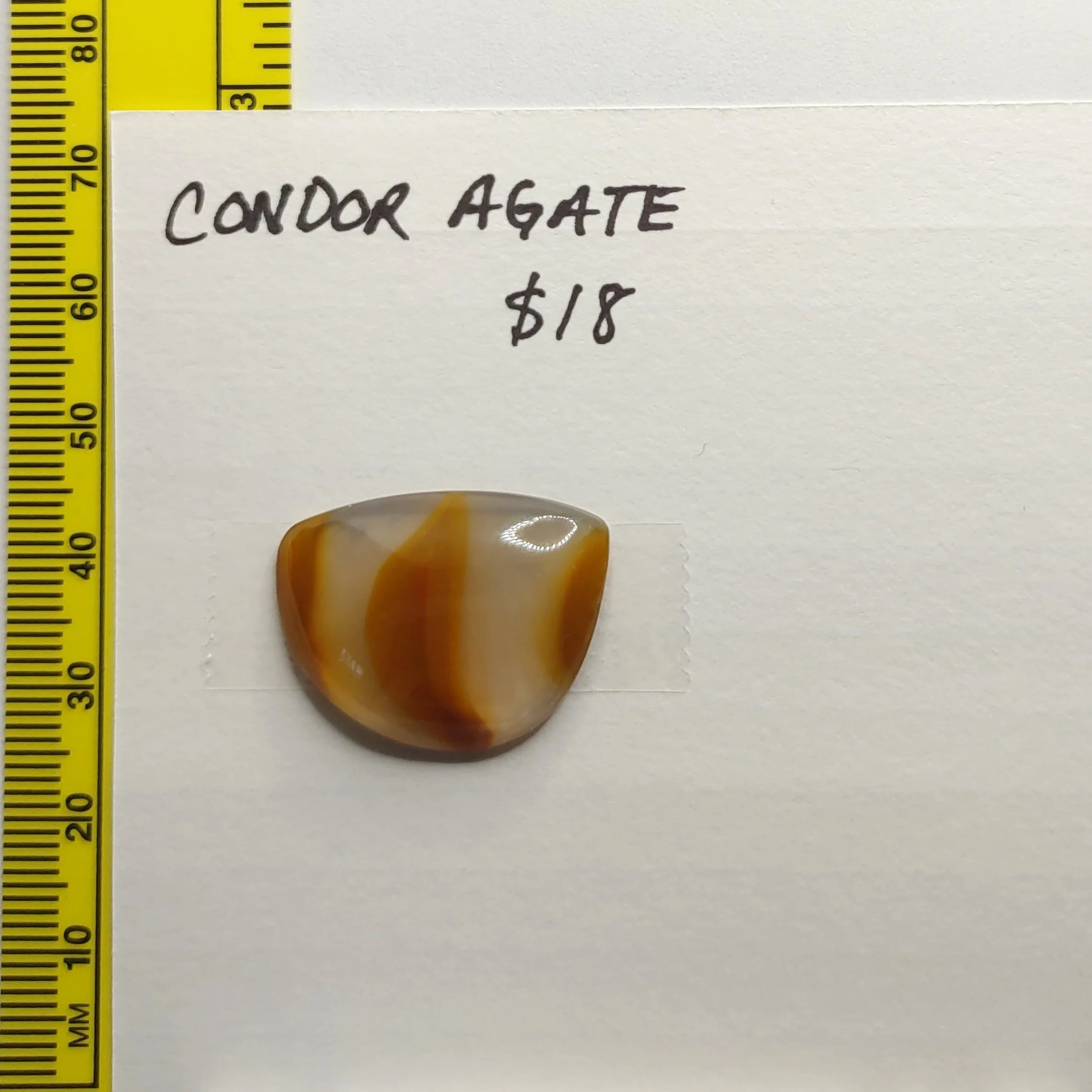 Condor Agate