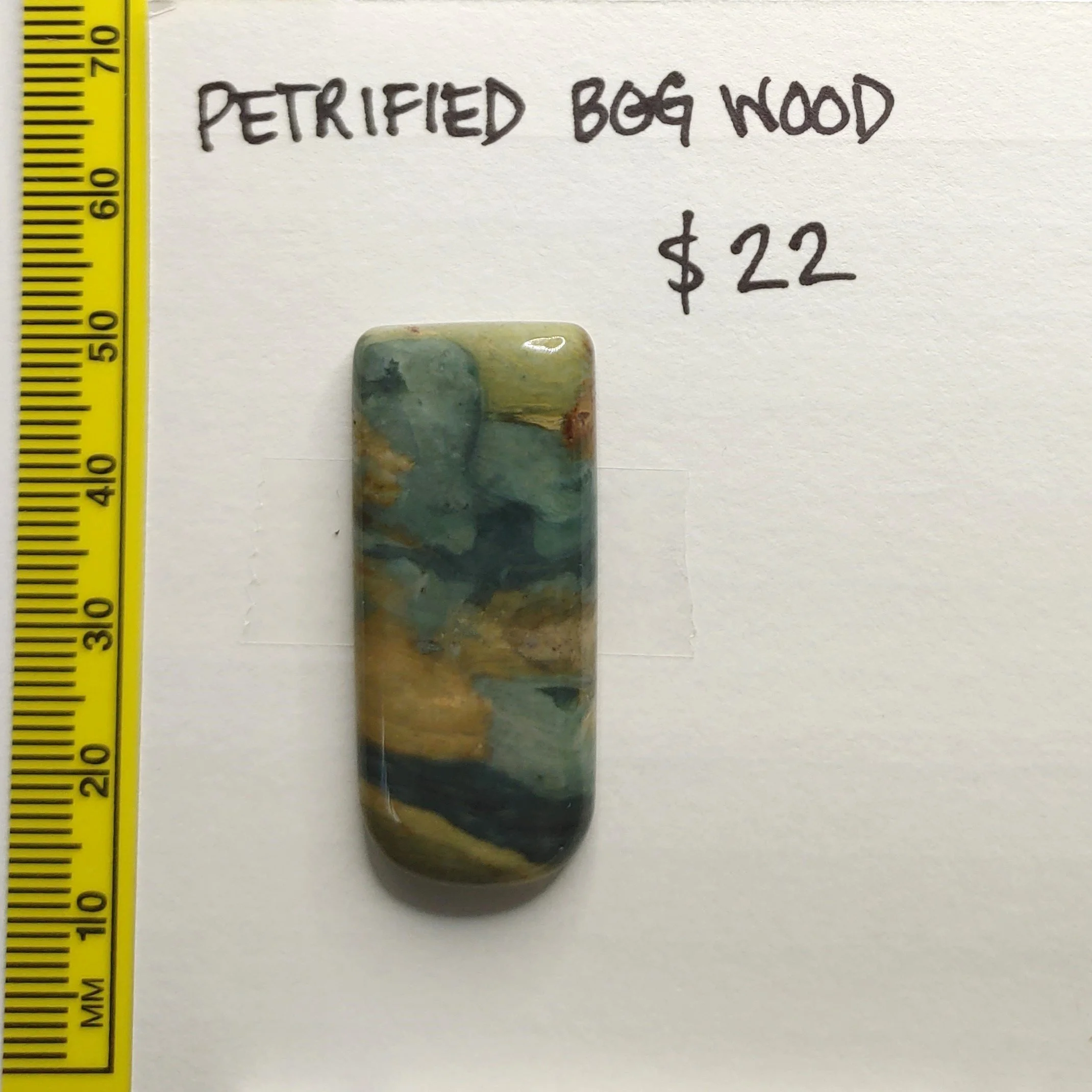 Petrified Bog Wood