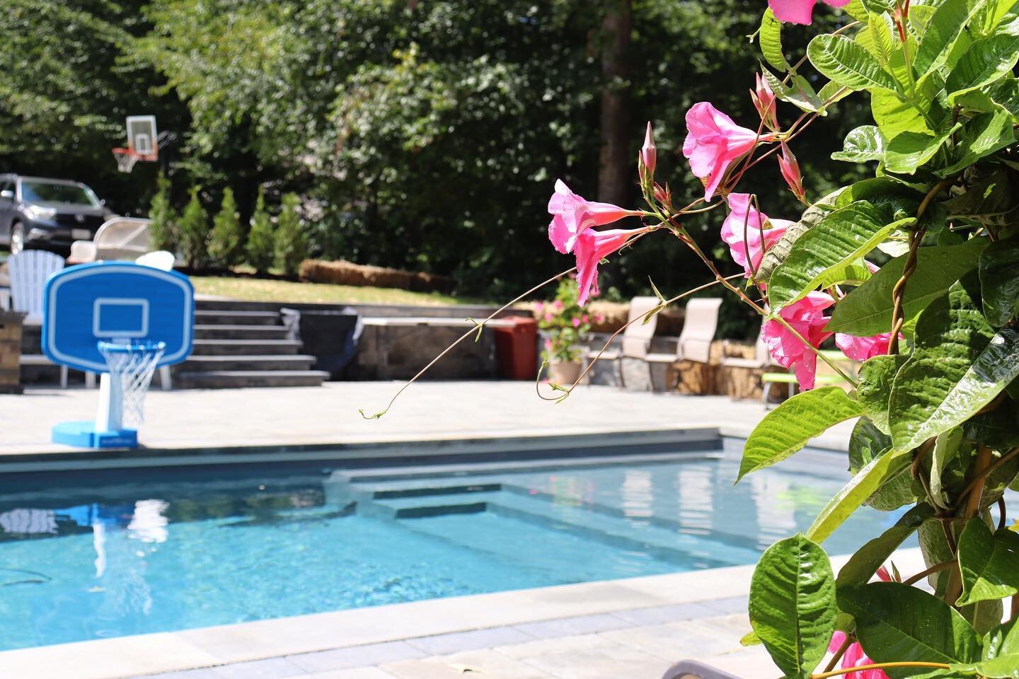 A dip in the pool on a day like today is a must 🥵🌴