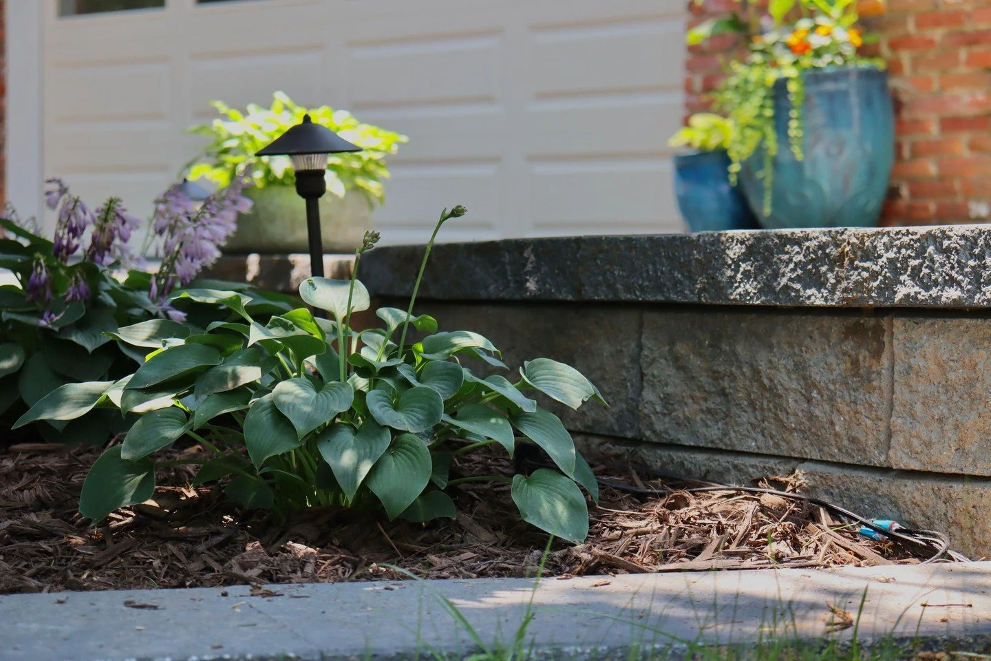 Plants can really pull together an outdoor space🌿 Integrate greenery into your yard when you make your dream design with Oasis!