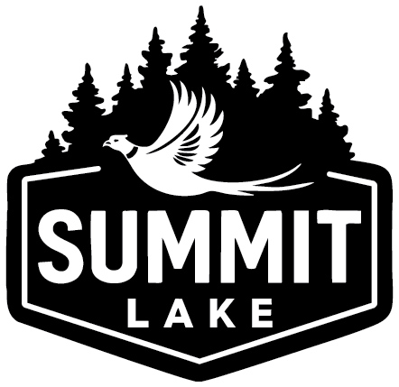 Summit Lake, WI photo 2