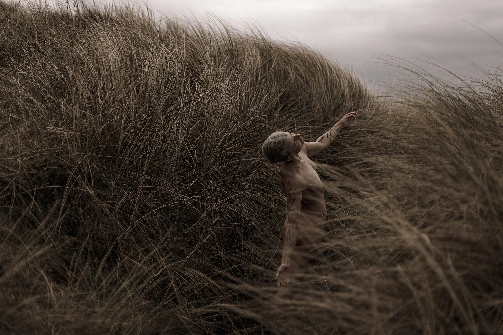 The Body as Landscape - Julia Dunin 6.jpg