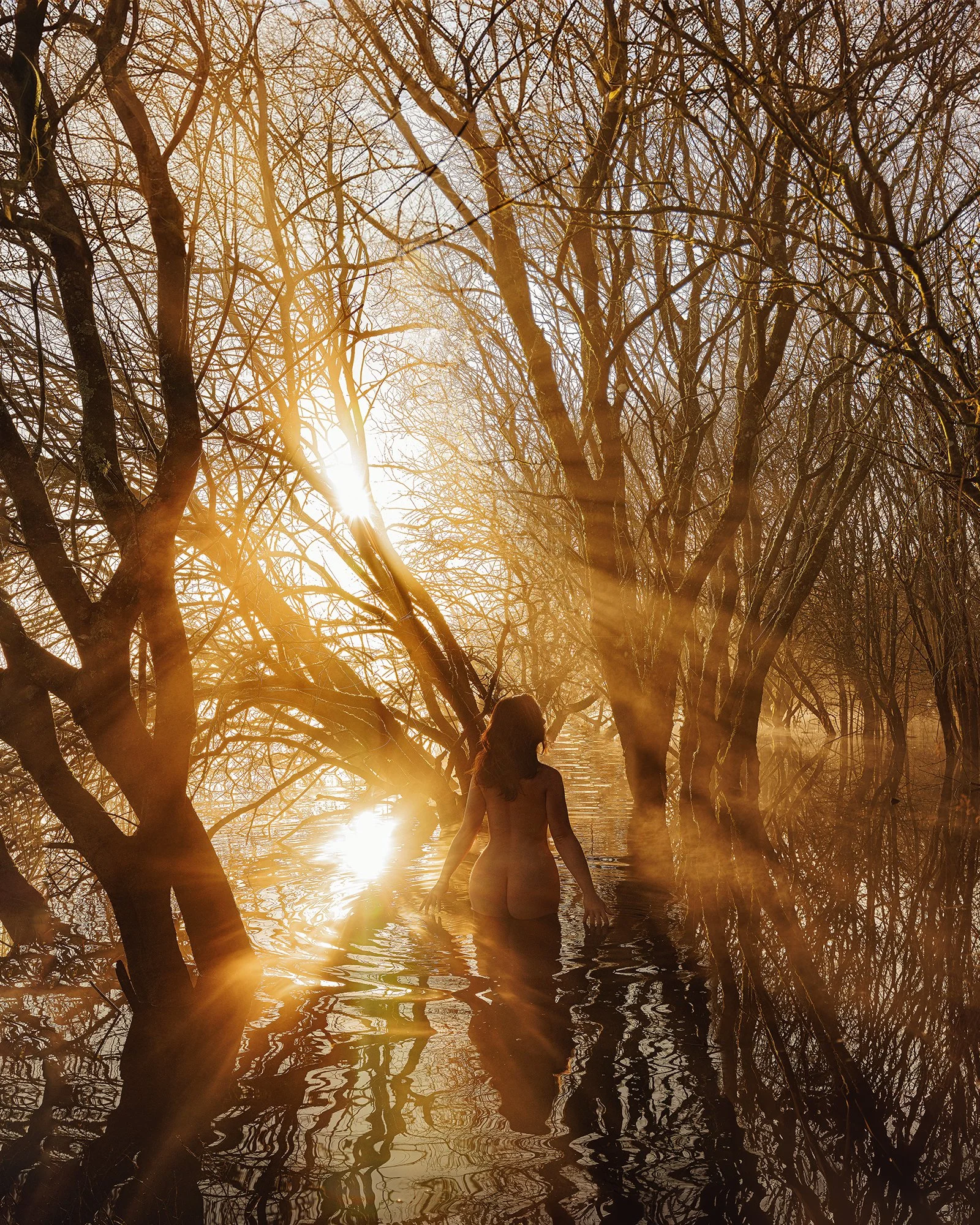 The Body as Landscape - Julia Dunin 2.jpg