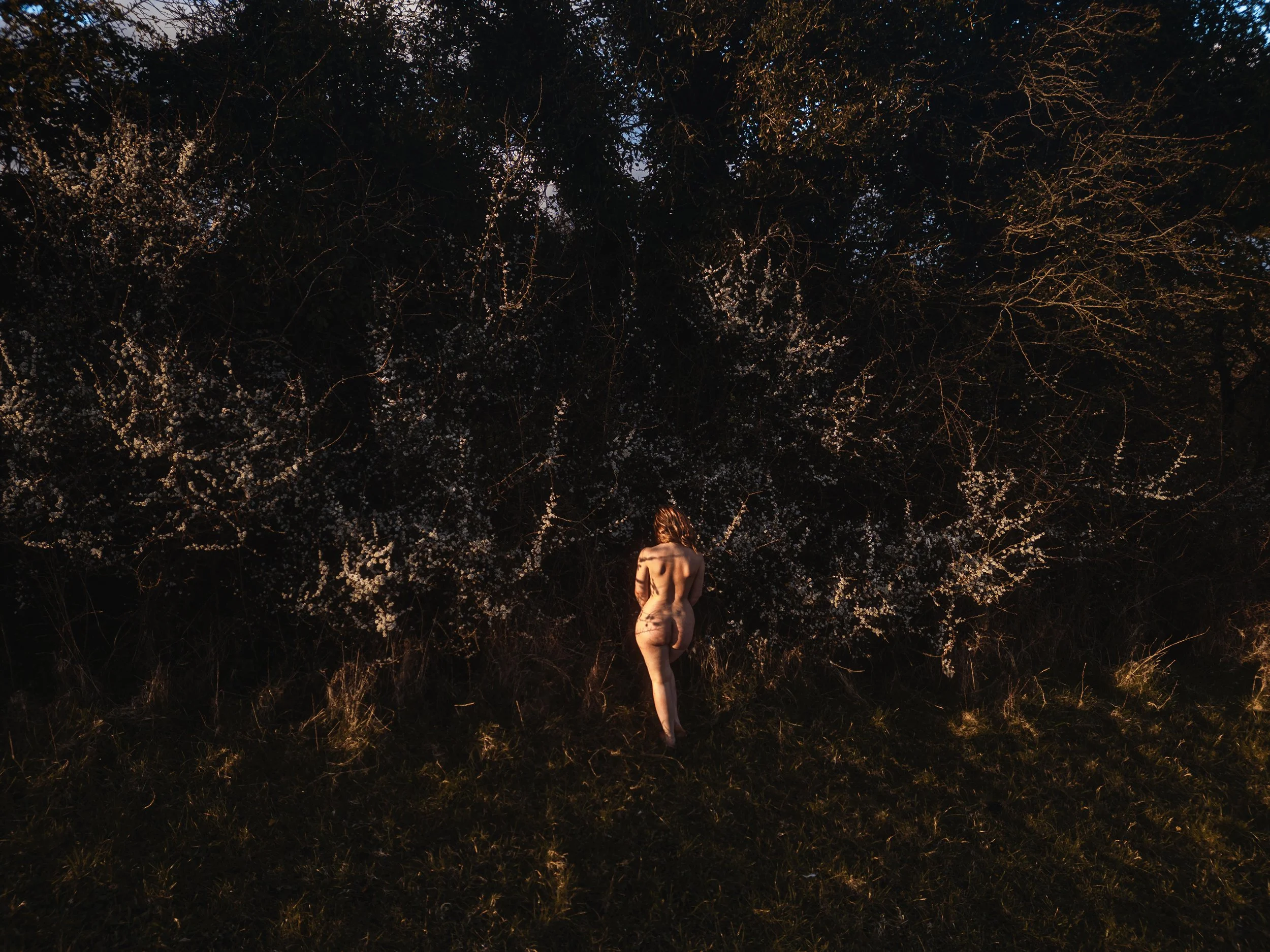 Eastera_by_Julia_Dunin_Photography-54 copy.jpg