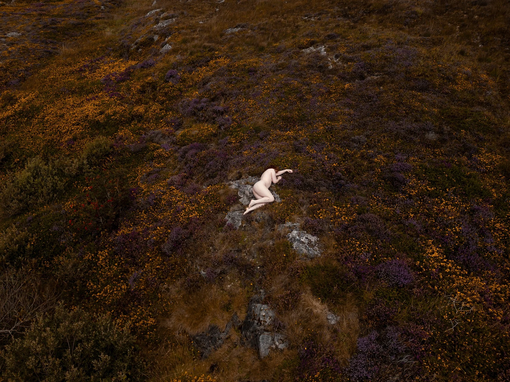 Ailish_Julia_Dunin_Photography-21.jpg