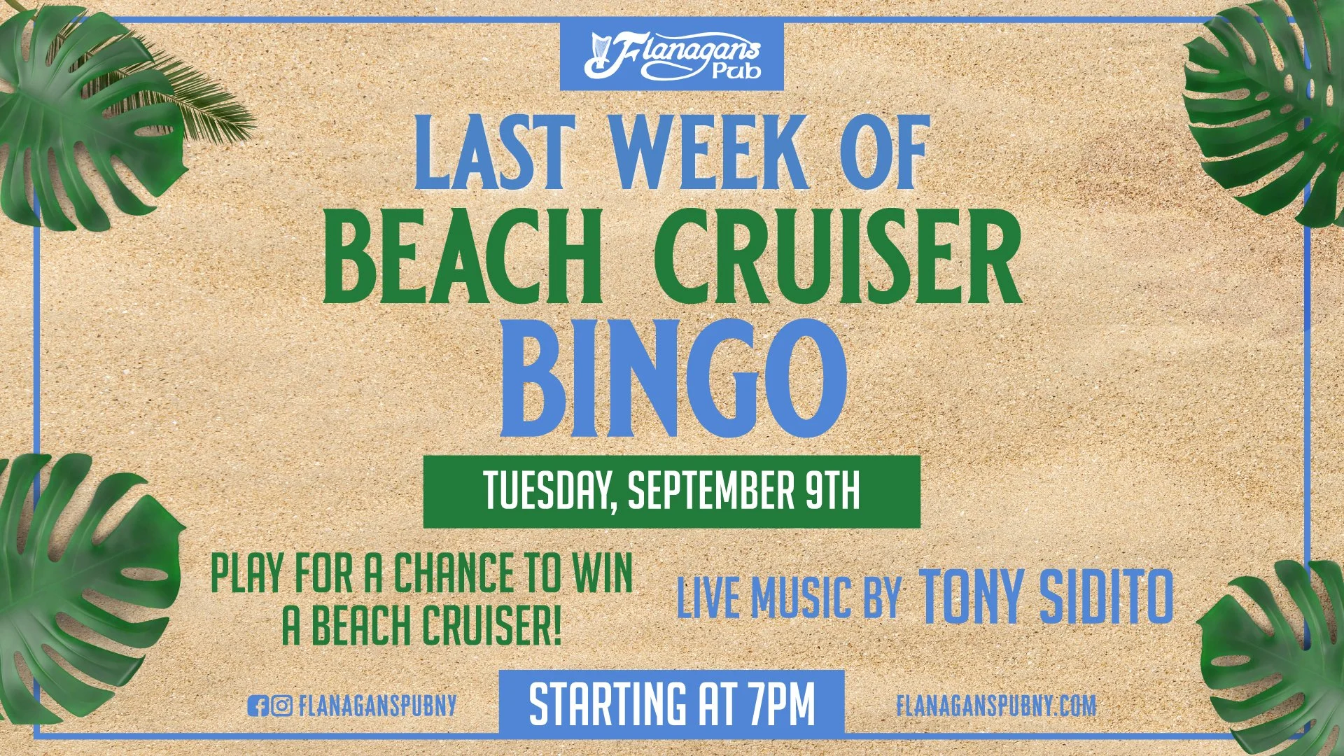 Beach Cruiser Bingo