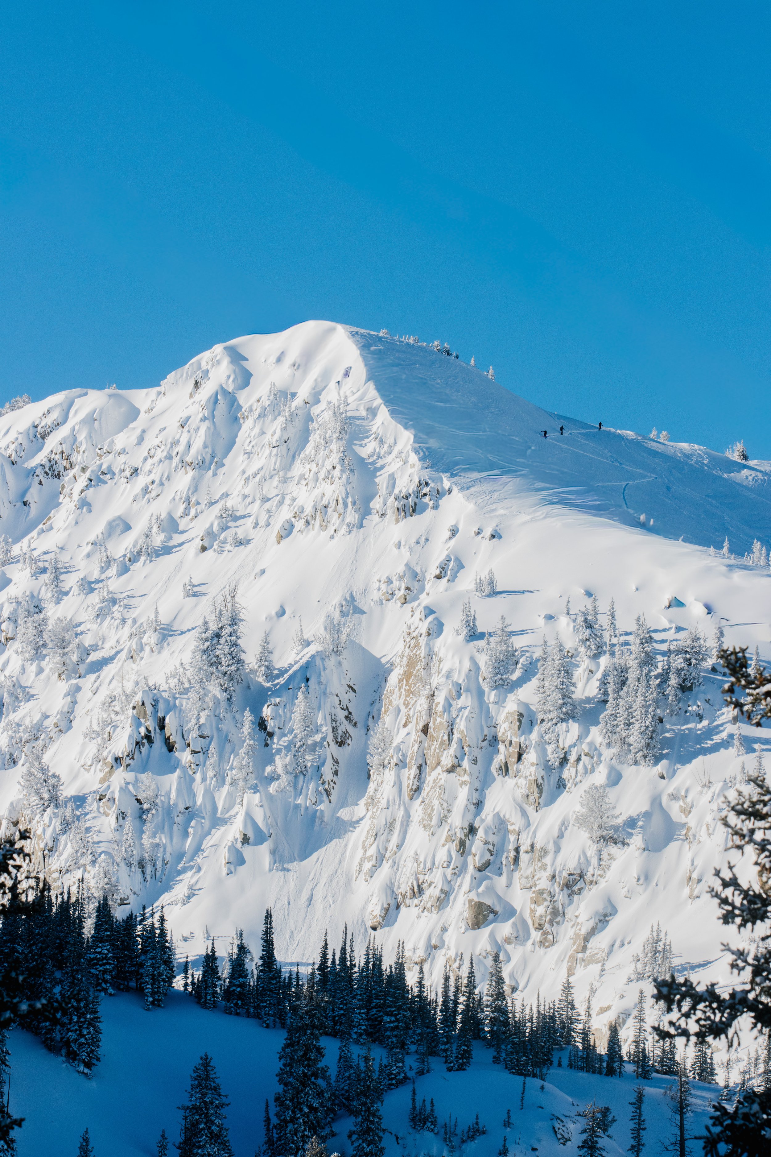 bluebird lanscape_5992.jpg