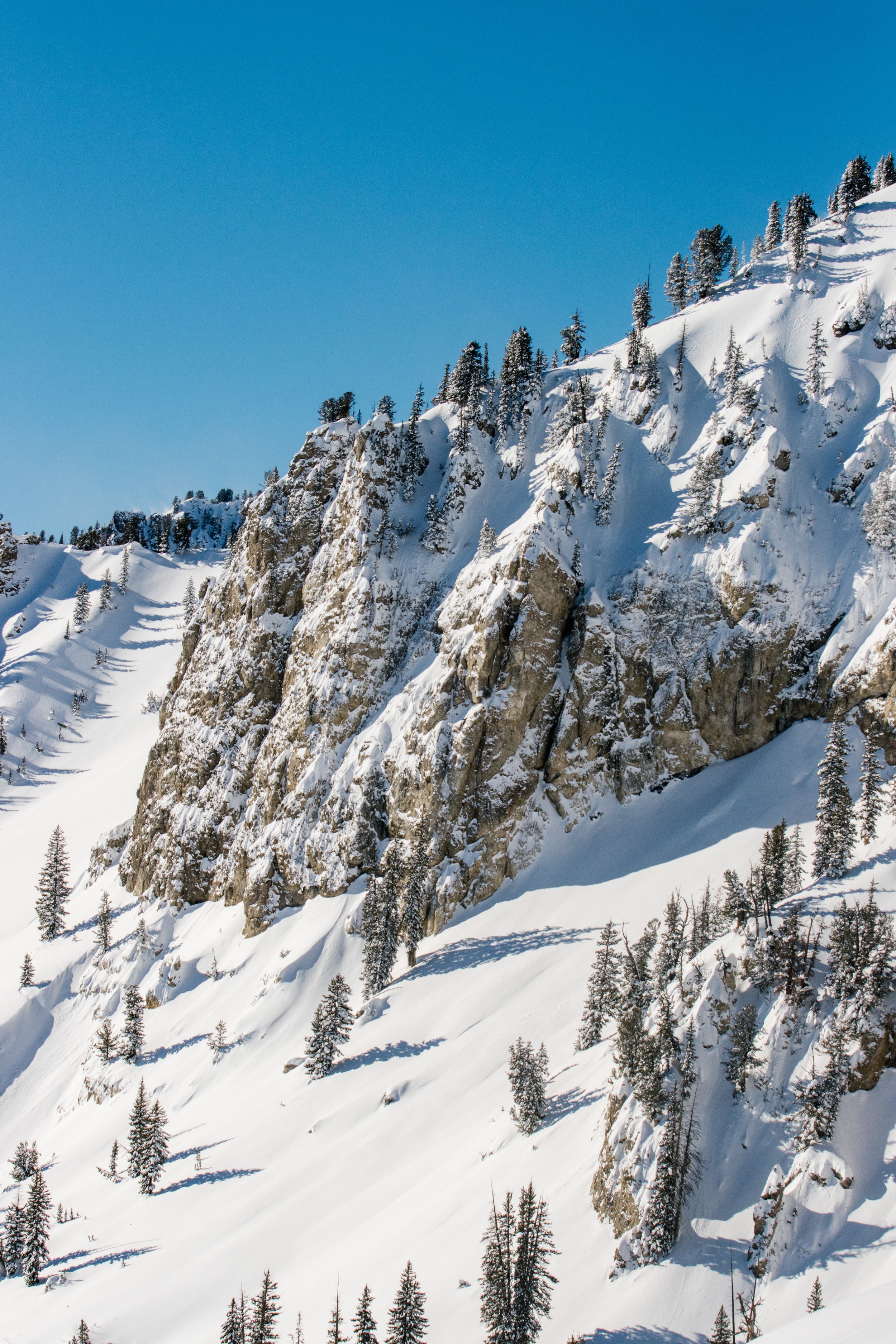 bluebird lanscape_6408.jpg