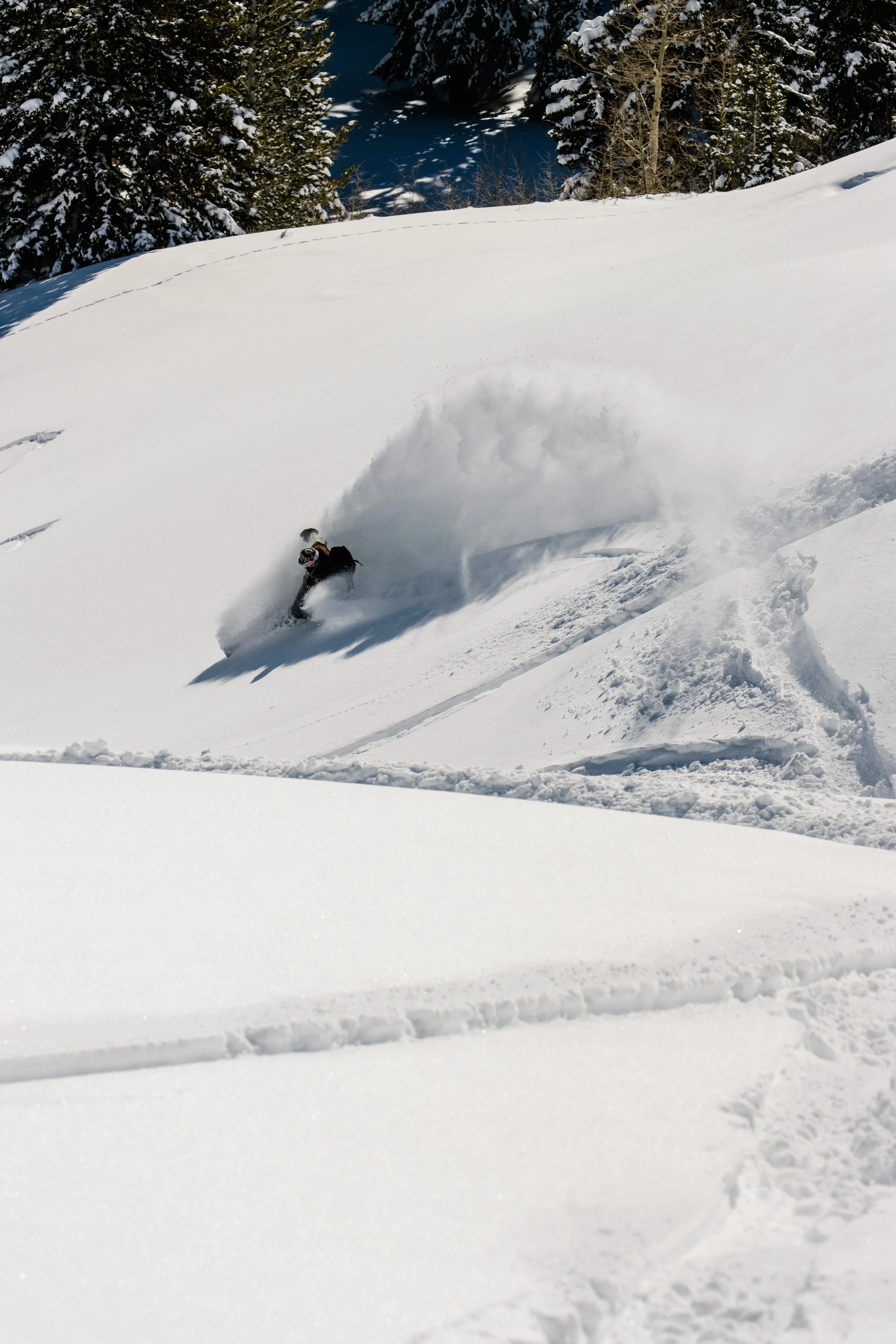 bluebird pow slash_6519-7.jpg