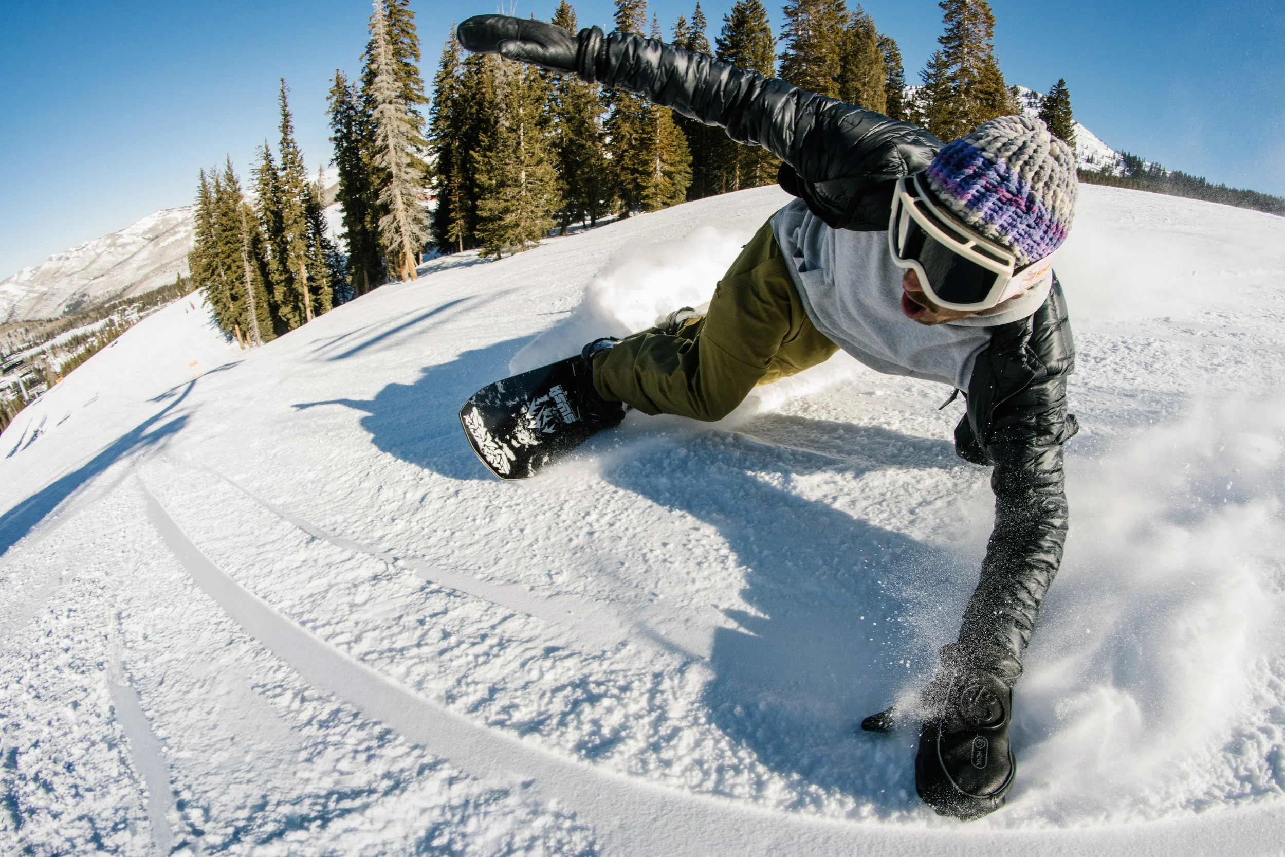 Sunny_carving_8398.jpg
