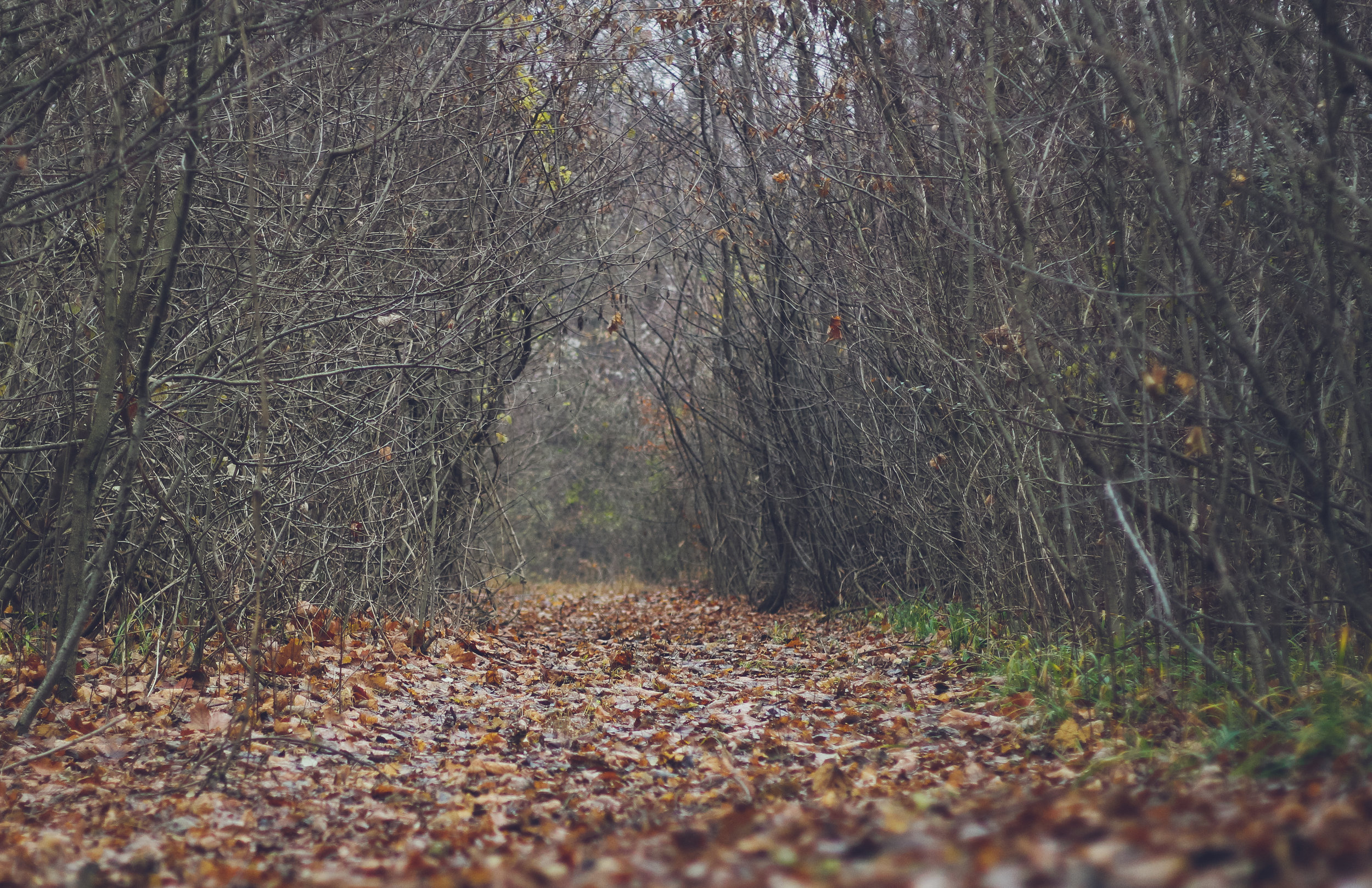 Beware of Christlessness