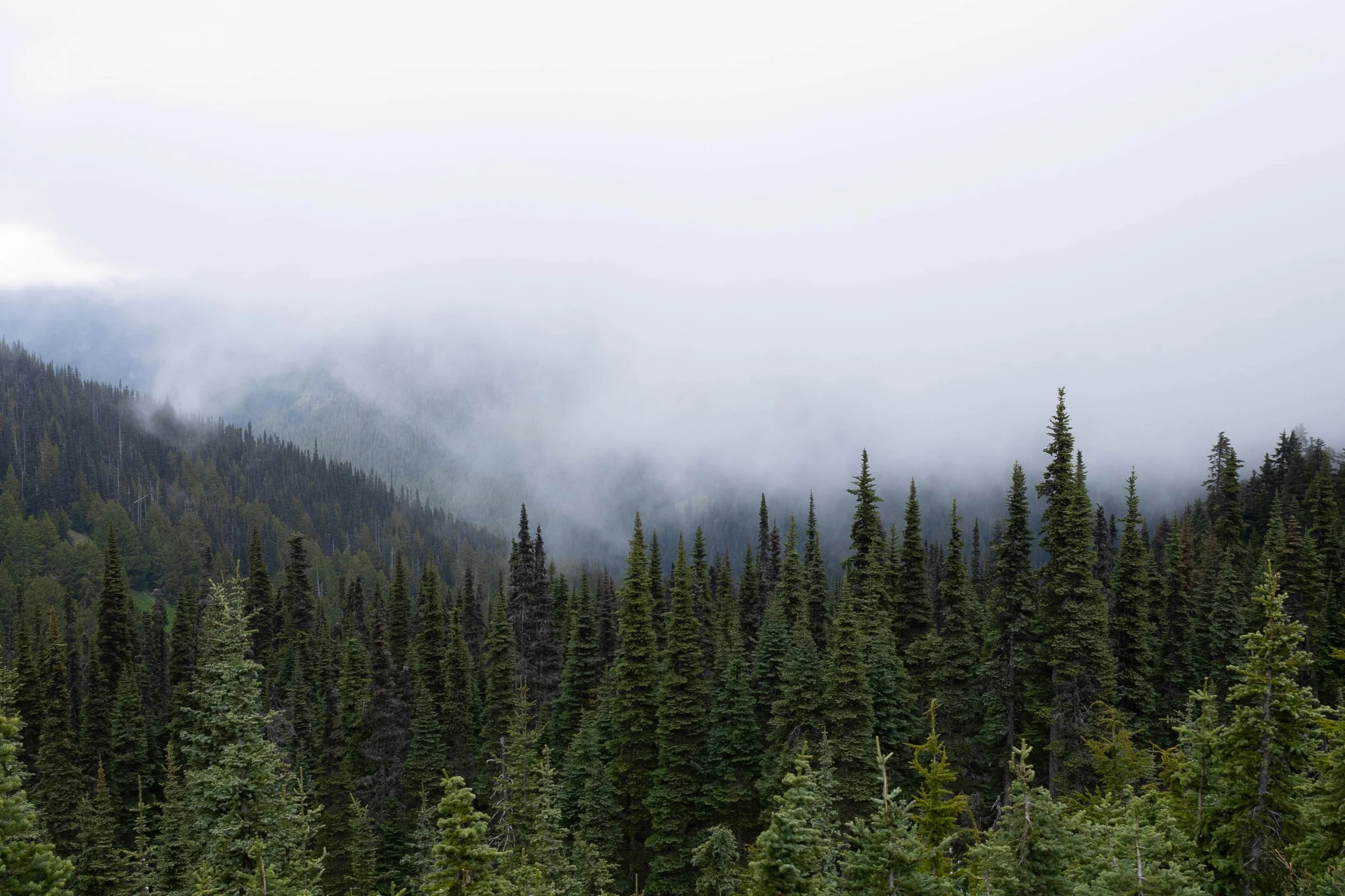 How to Find Spiritual Peace