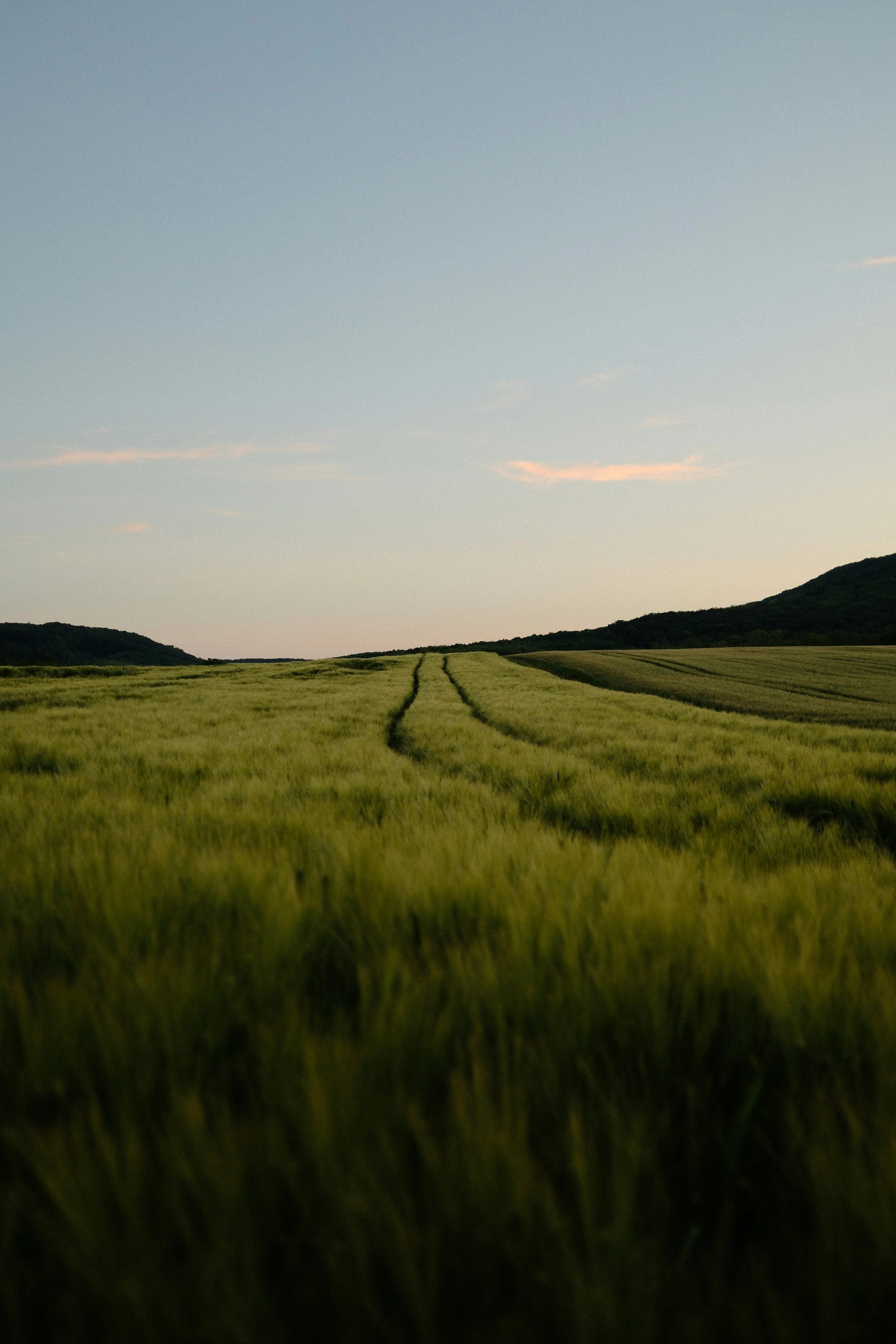 A Word in Season: A New Devotional from Jeremy Walker