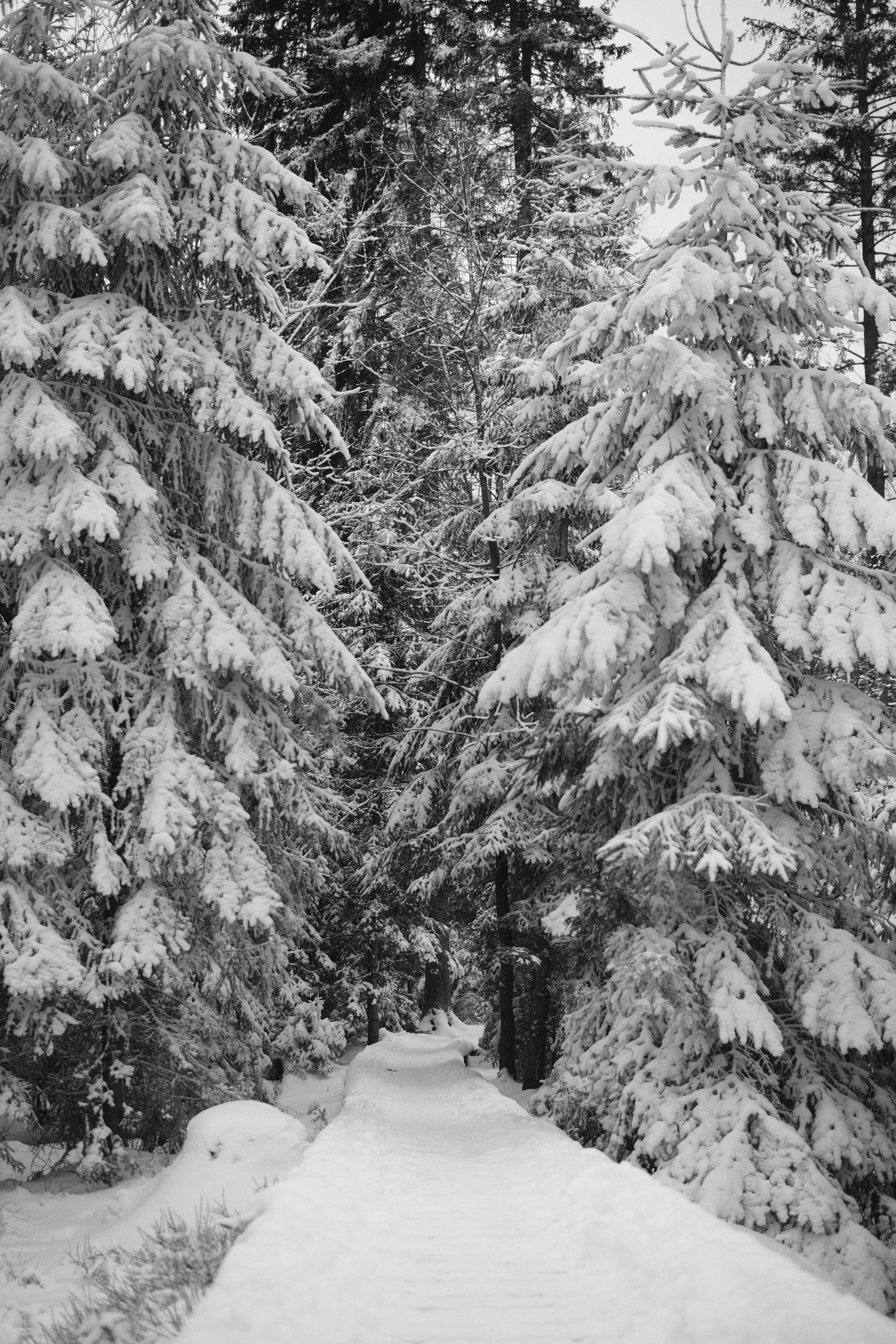 Advent Meditations I: The Mystery of the Incarnation