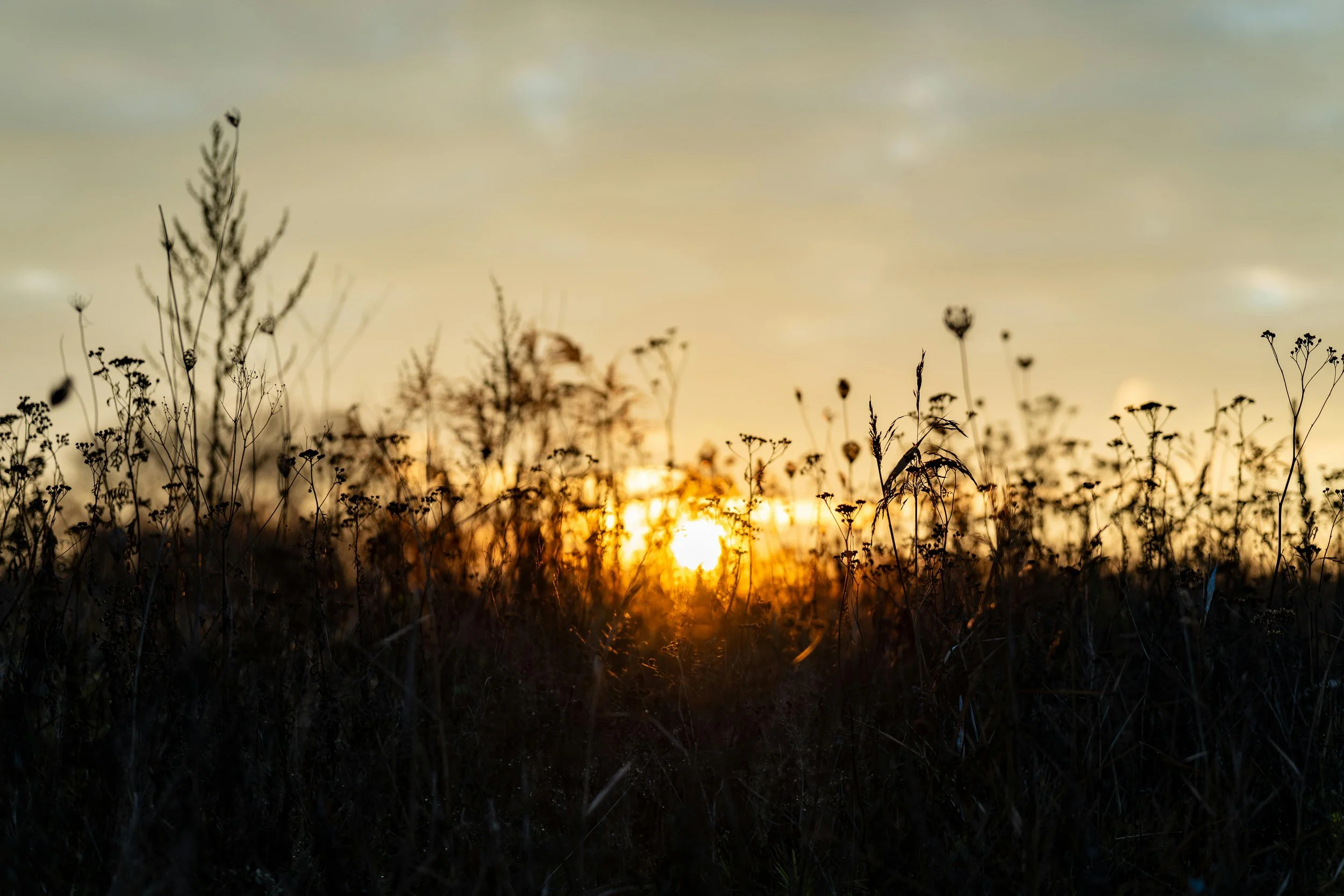 A Hymn by Anne Steele
