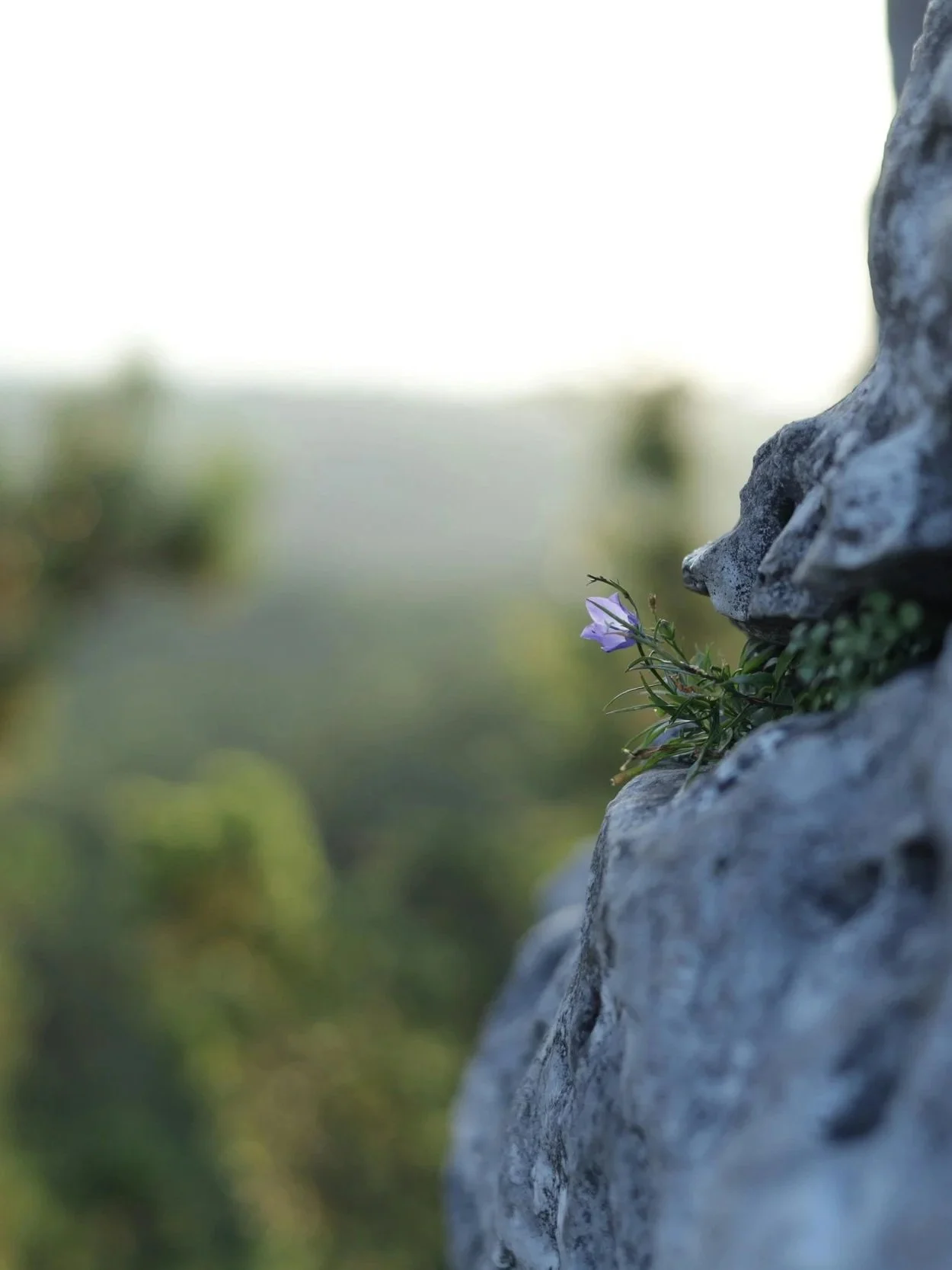 The Beauty of Humility