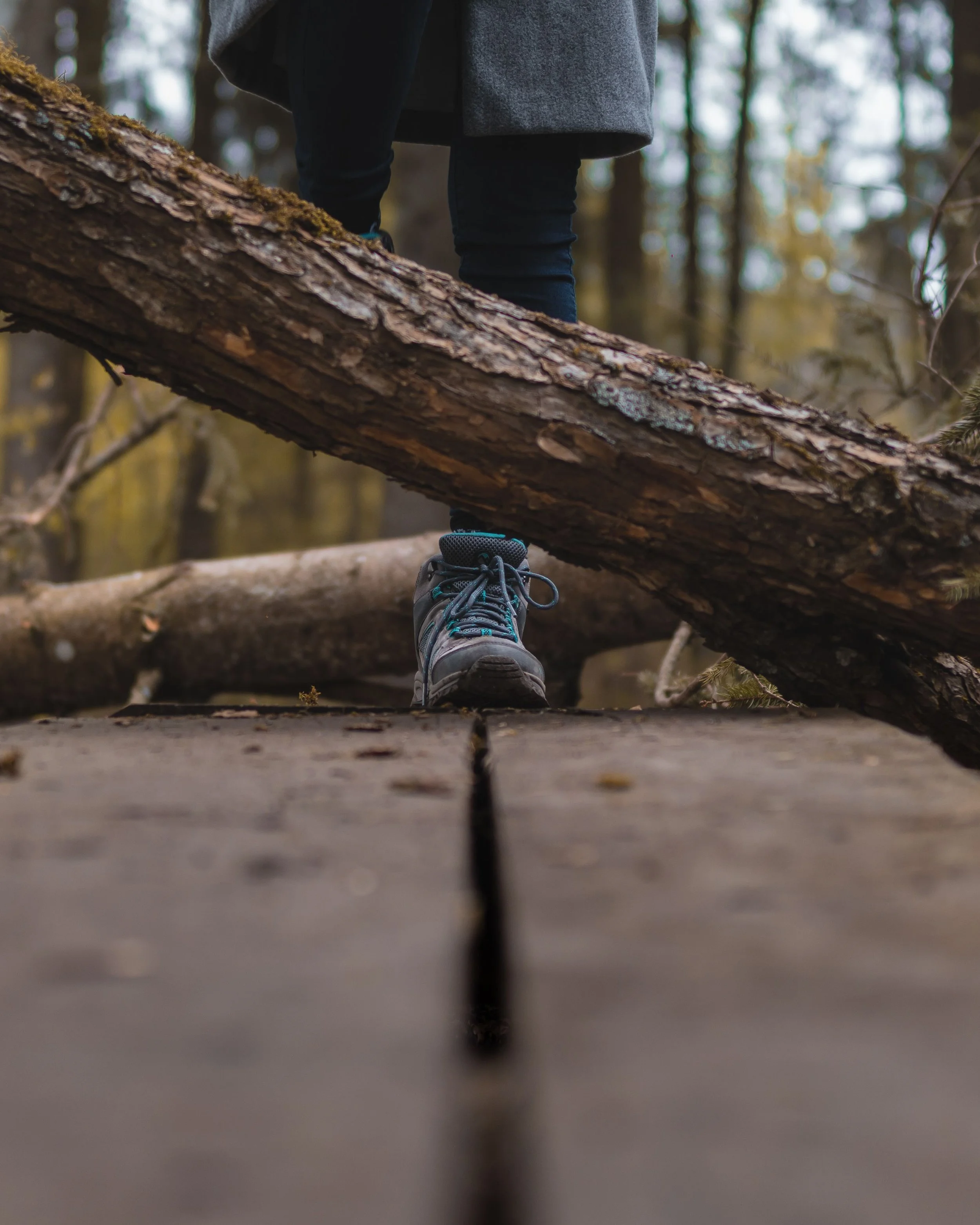 A Life of Joy III: Obstacles to Contentment