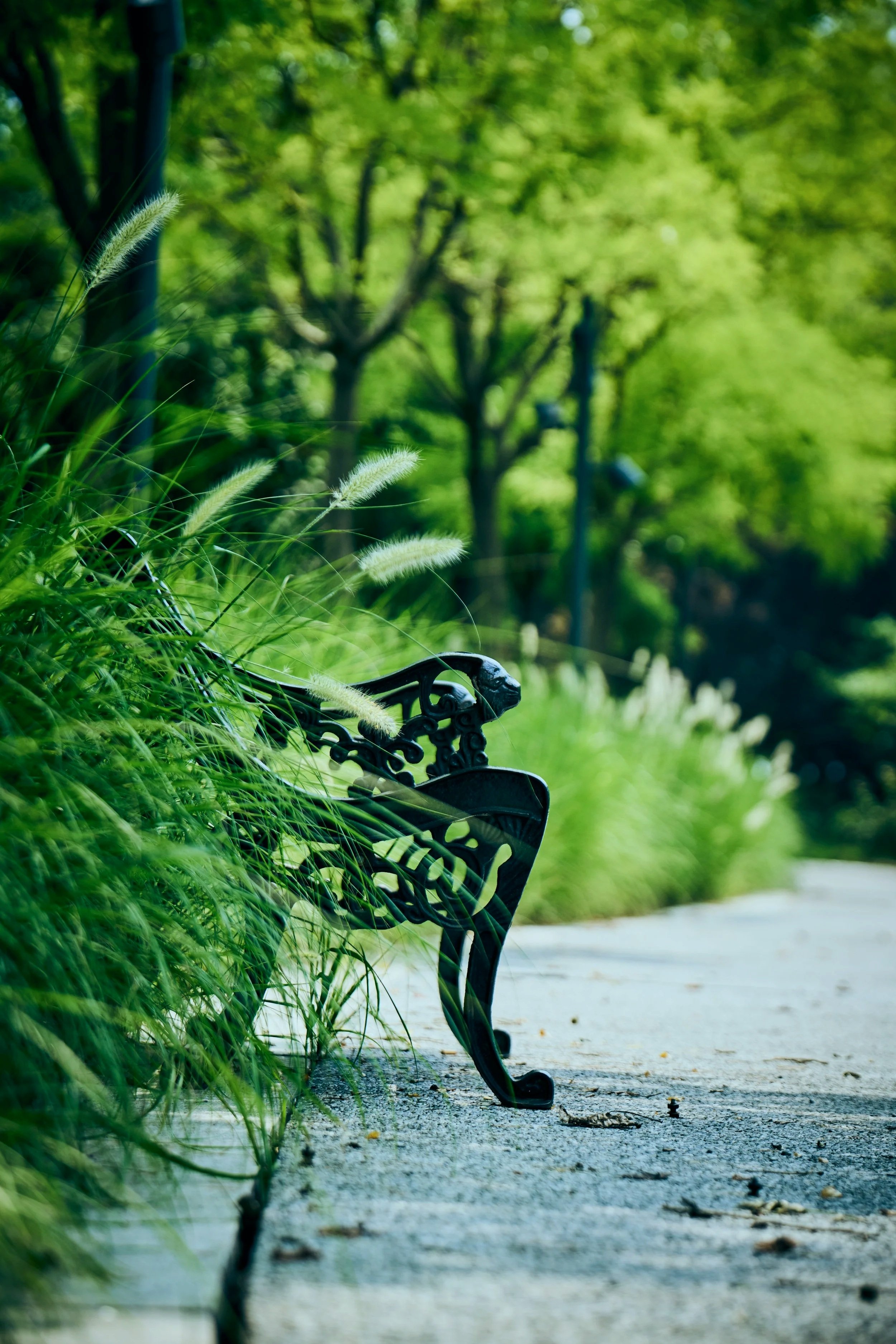 A Life of Joy IV: Contentment Combats Complacency