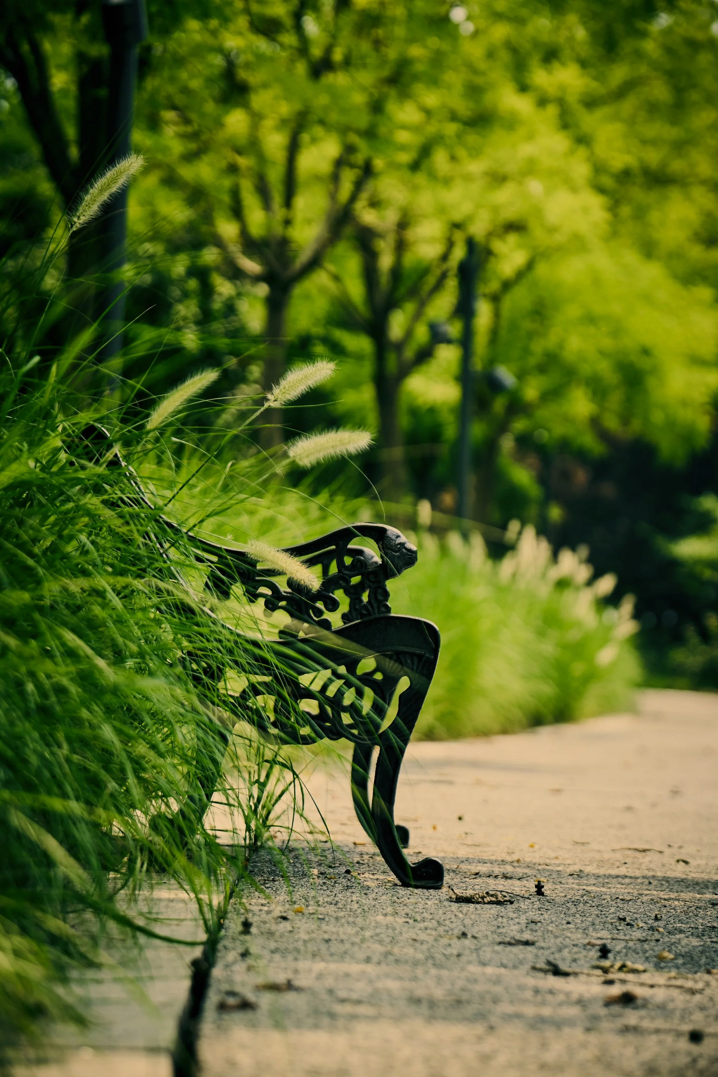 A Life of Joy IV: Contentment Combats Complacency