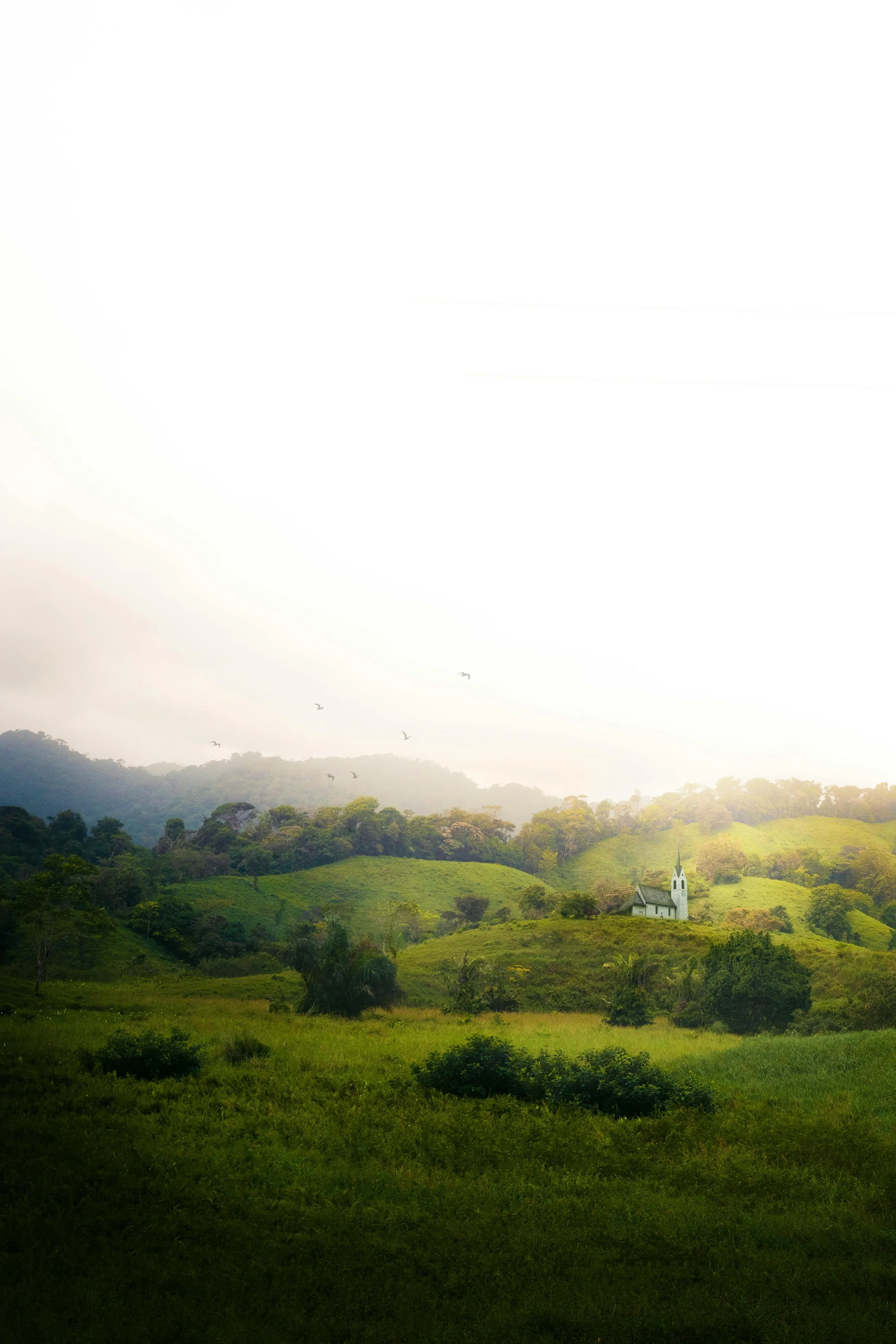 A Life of Joy V: Christ Is All