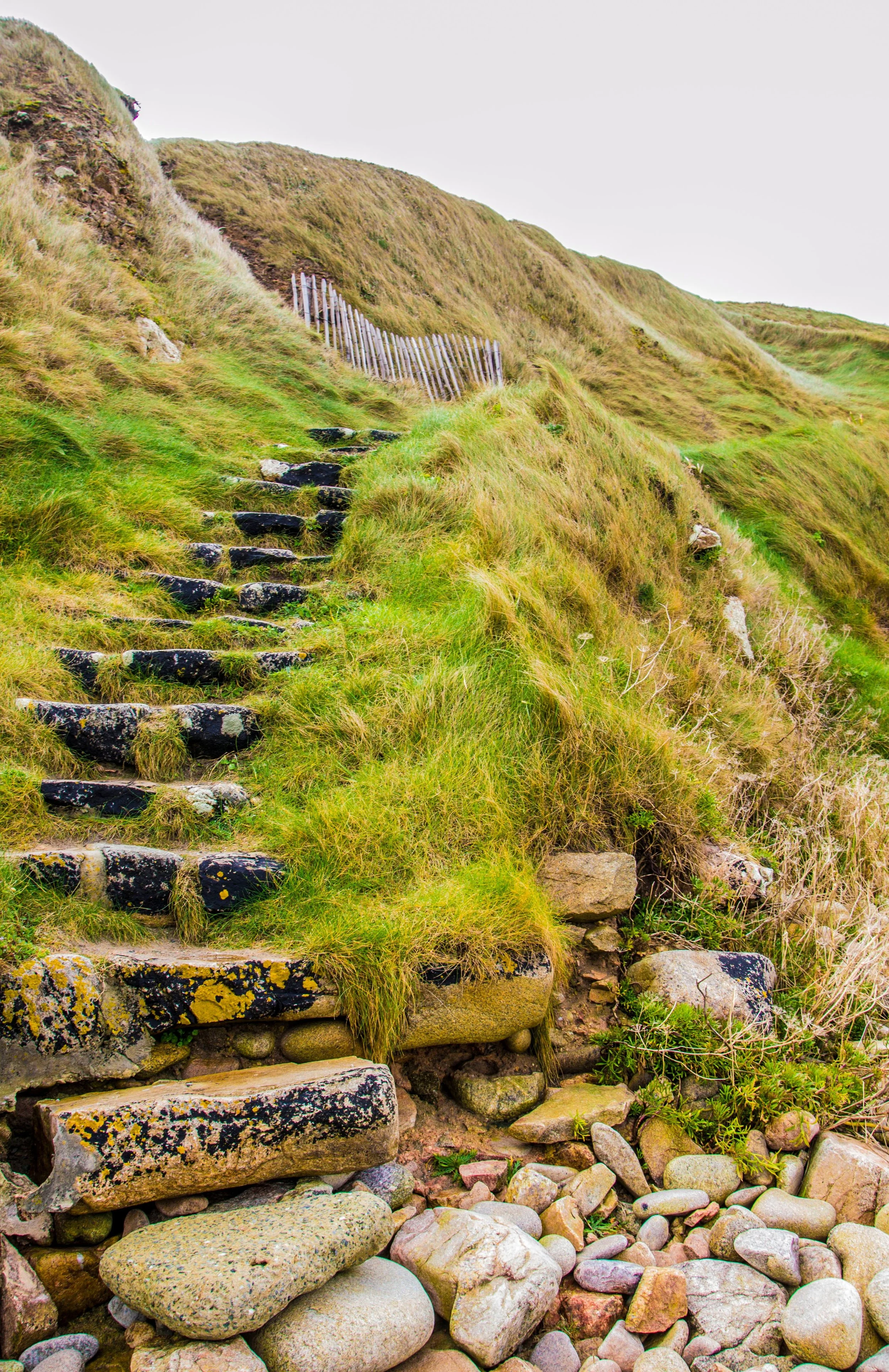 Biblical Help for Life's Problems IV: Living According To Our Purpose