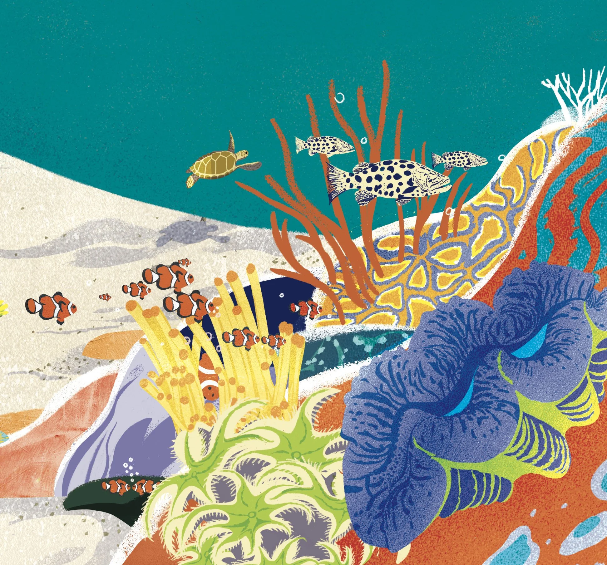 Earth's Immense Barrier Reef