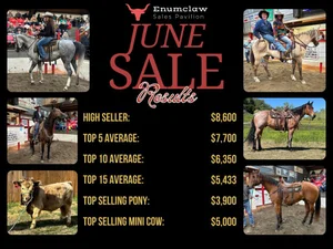 General 1 — Enumclaw Sales Pavilion